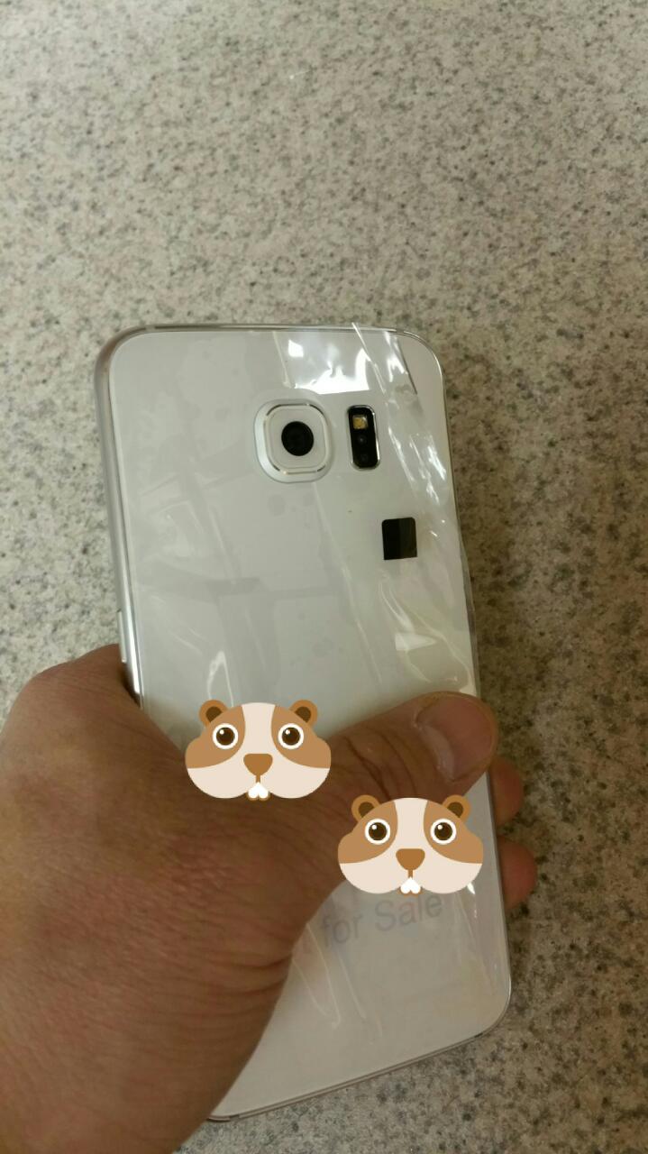 Galaxy S6 Rear