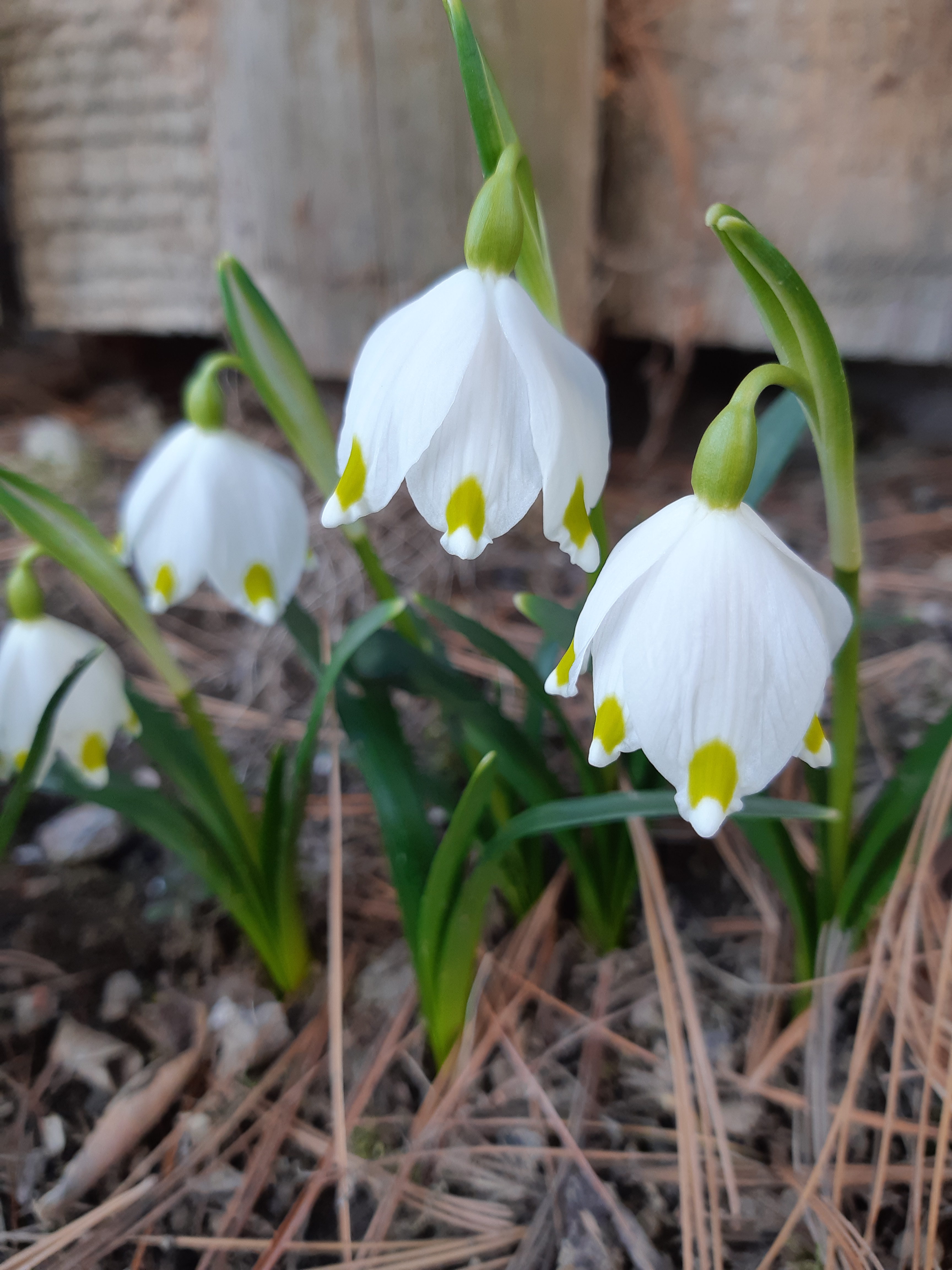 20180313_151553