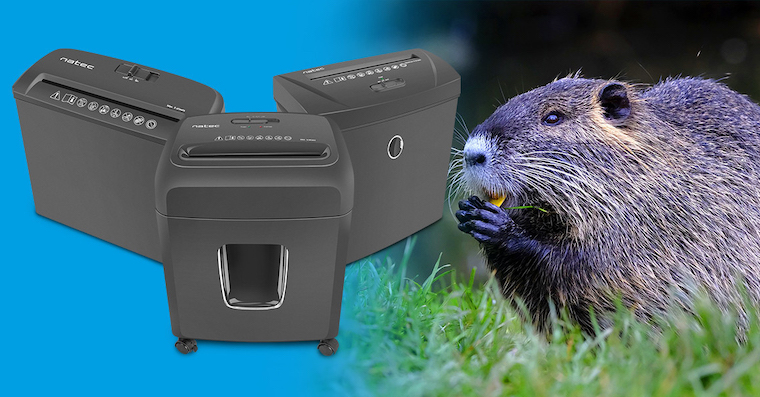 Natec_Beaver_image Natec Beaver image