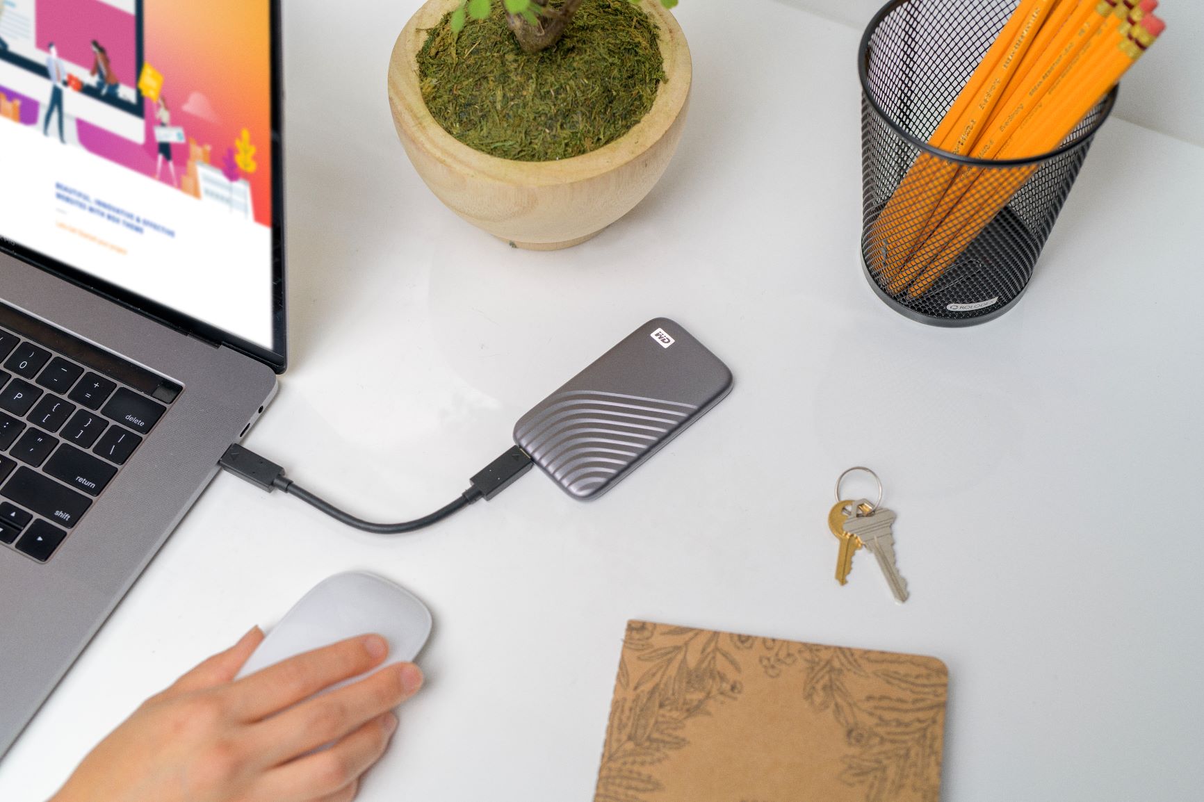 WD_MyPassportSSD_ProdIMG-Computer-Plugin-HR WD_MyPassportSSD_ProdIMG-Computer-Plugin-HR