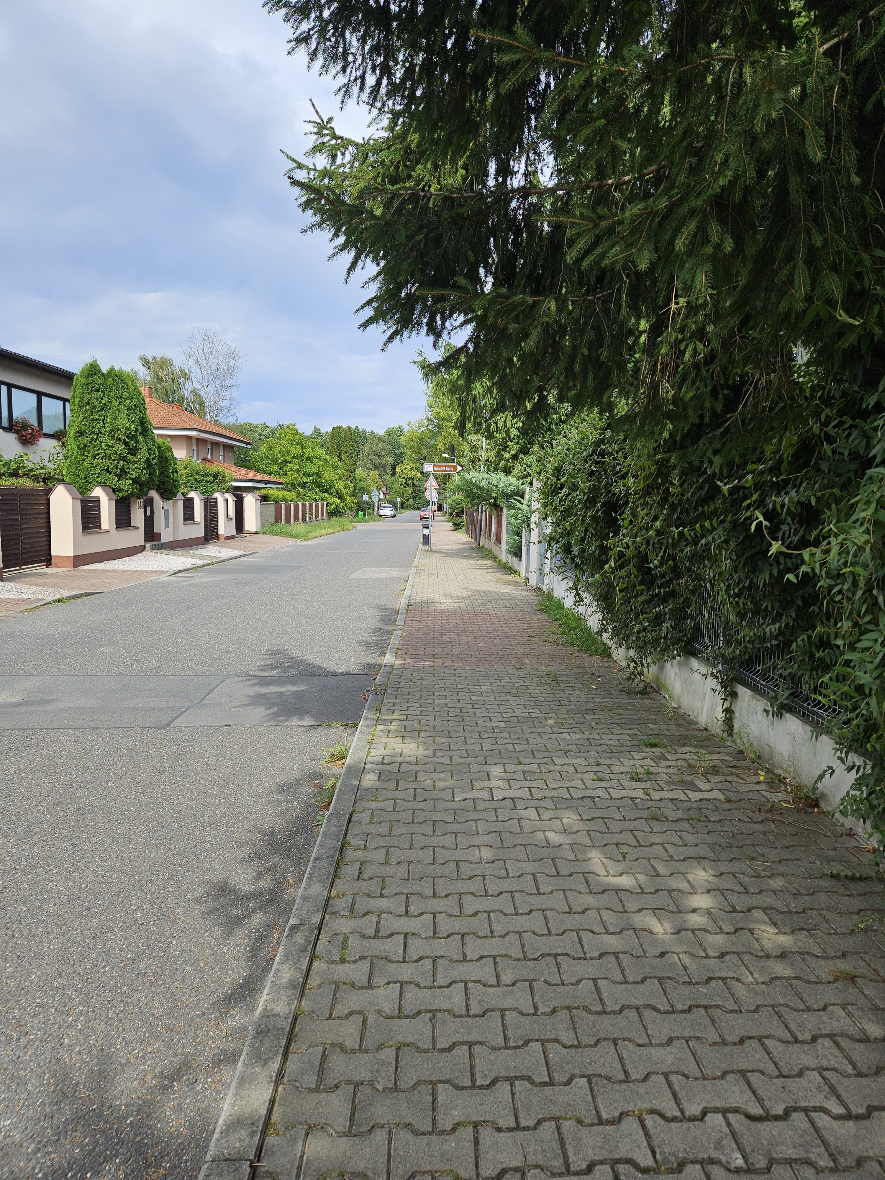 Galaxy Z Fold5 fotky den 33