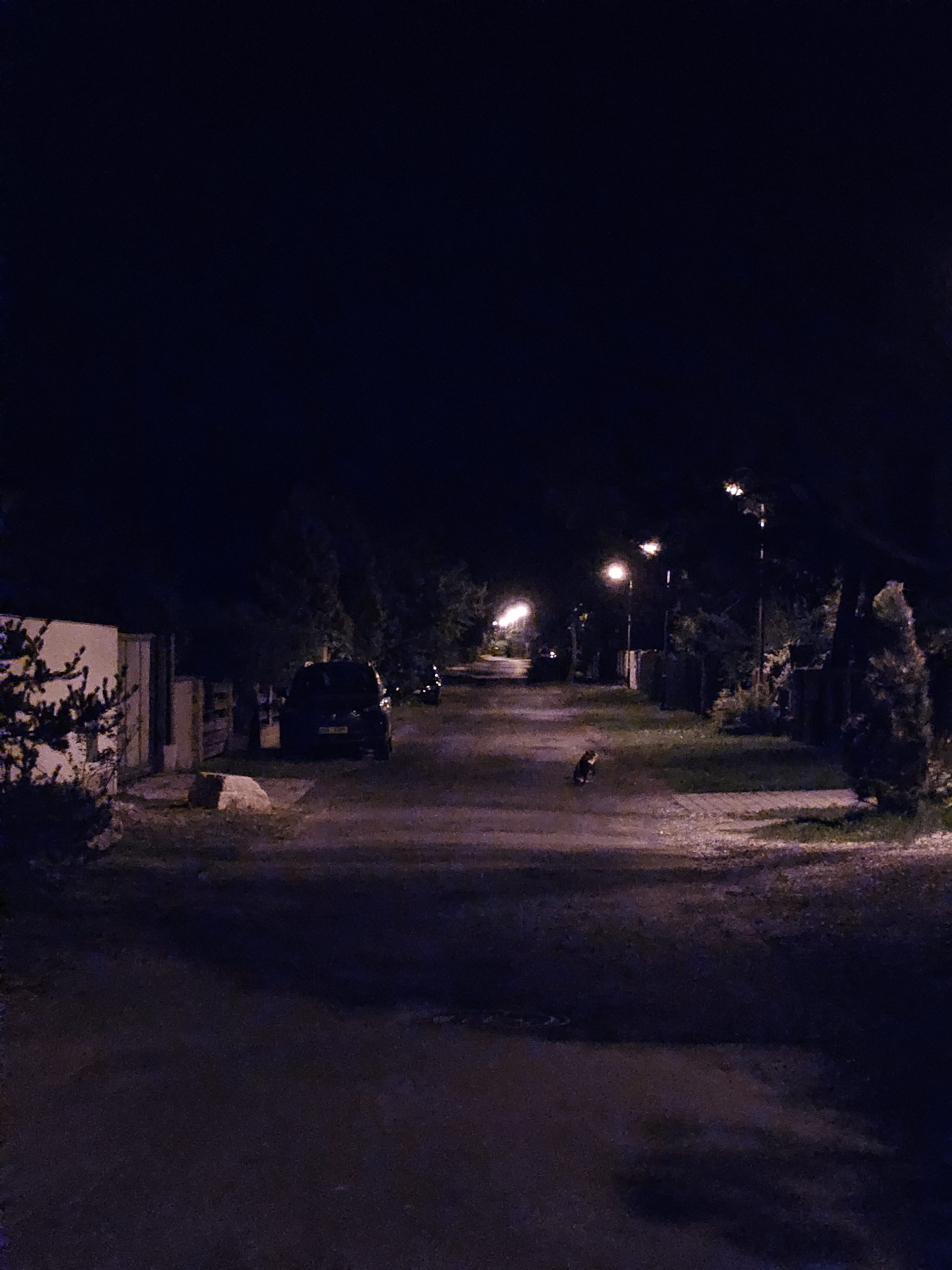 Galaxy Z Fold5 nocni fotky 28