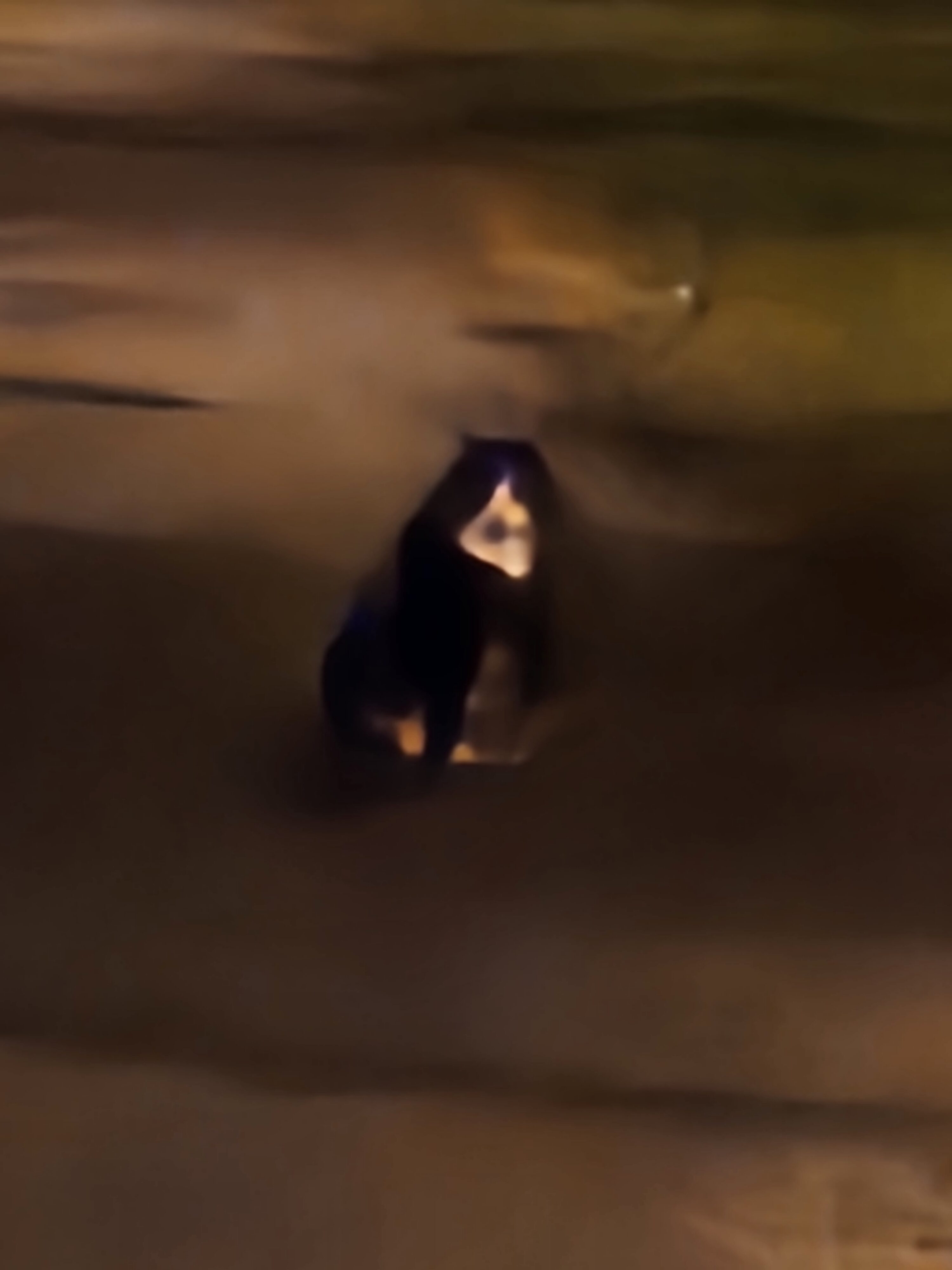 Galaxy Z Fold5 nocni fotky 30