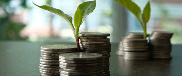 getty images 939699006 green money cropped 600x250