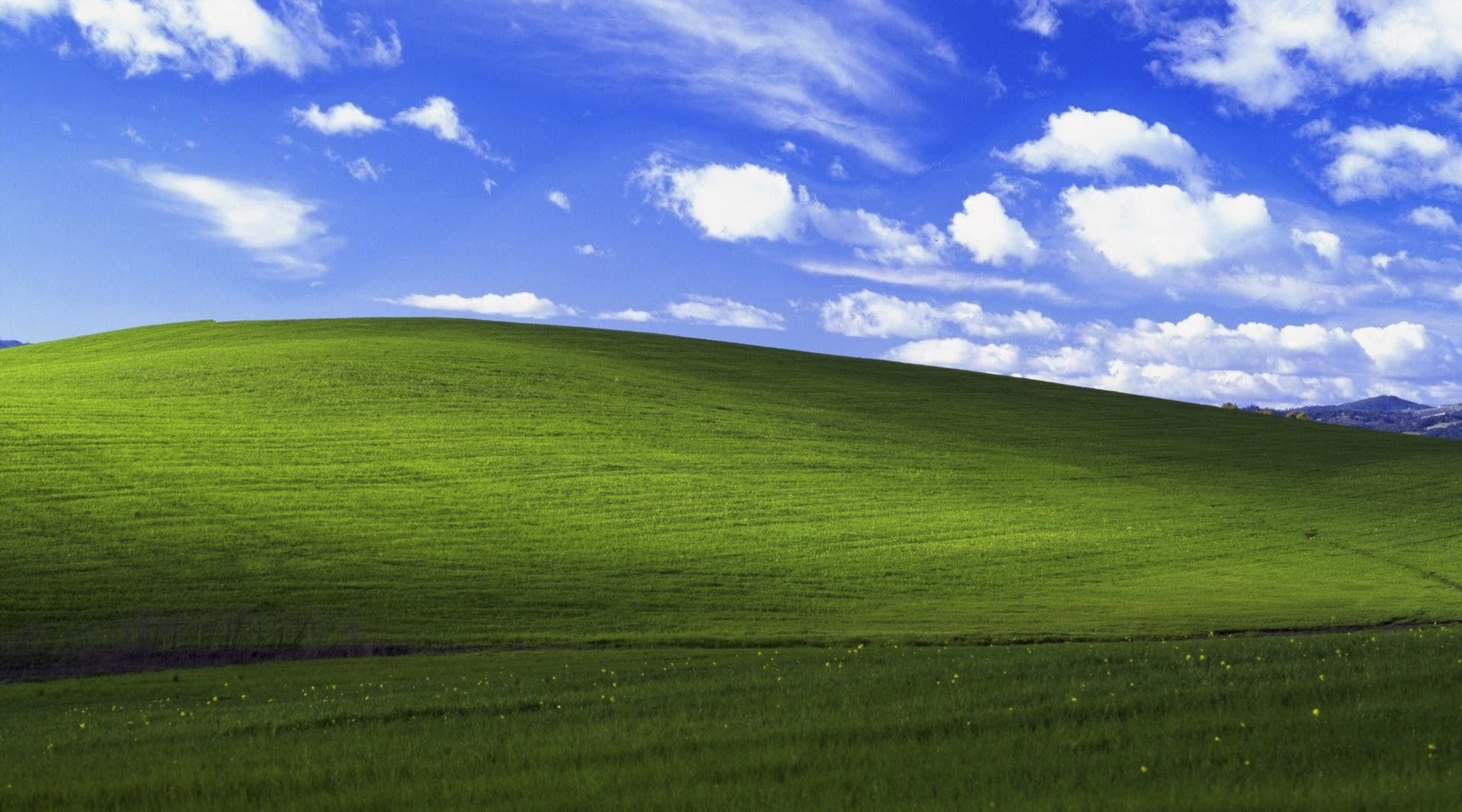 Windows XP