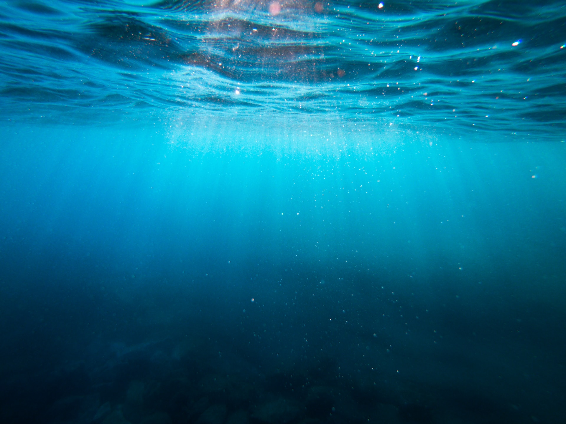 cristian-palmer-XexawgzYOBc-unsplash cristian-palmer-XexawgzYOBc-unsplash