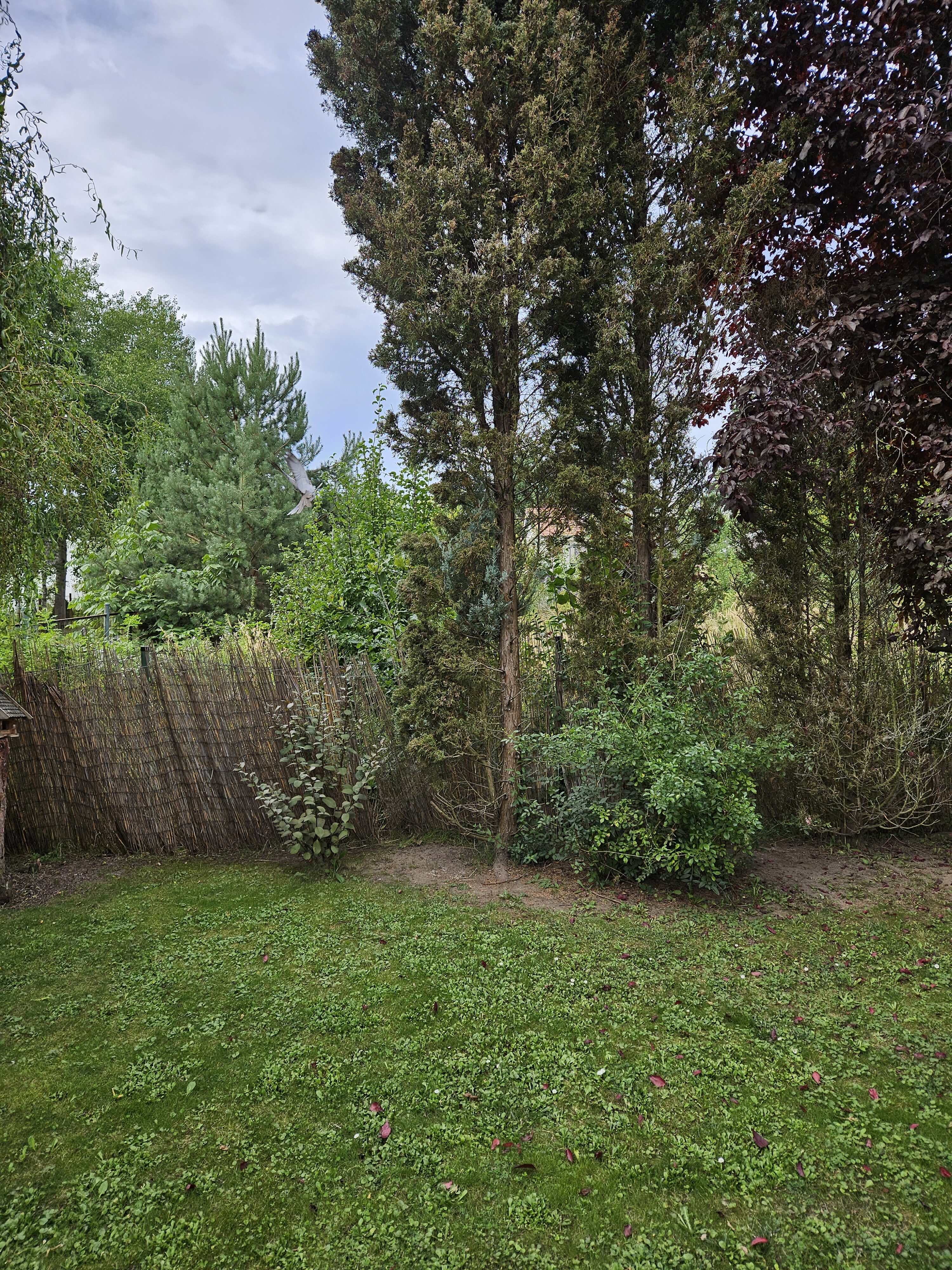 Galaxy_Z_Fold5_fotky_den_1 Galaxy Z Fold5 fotky den 1