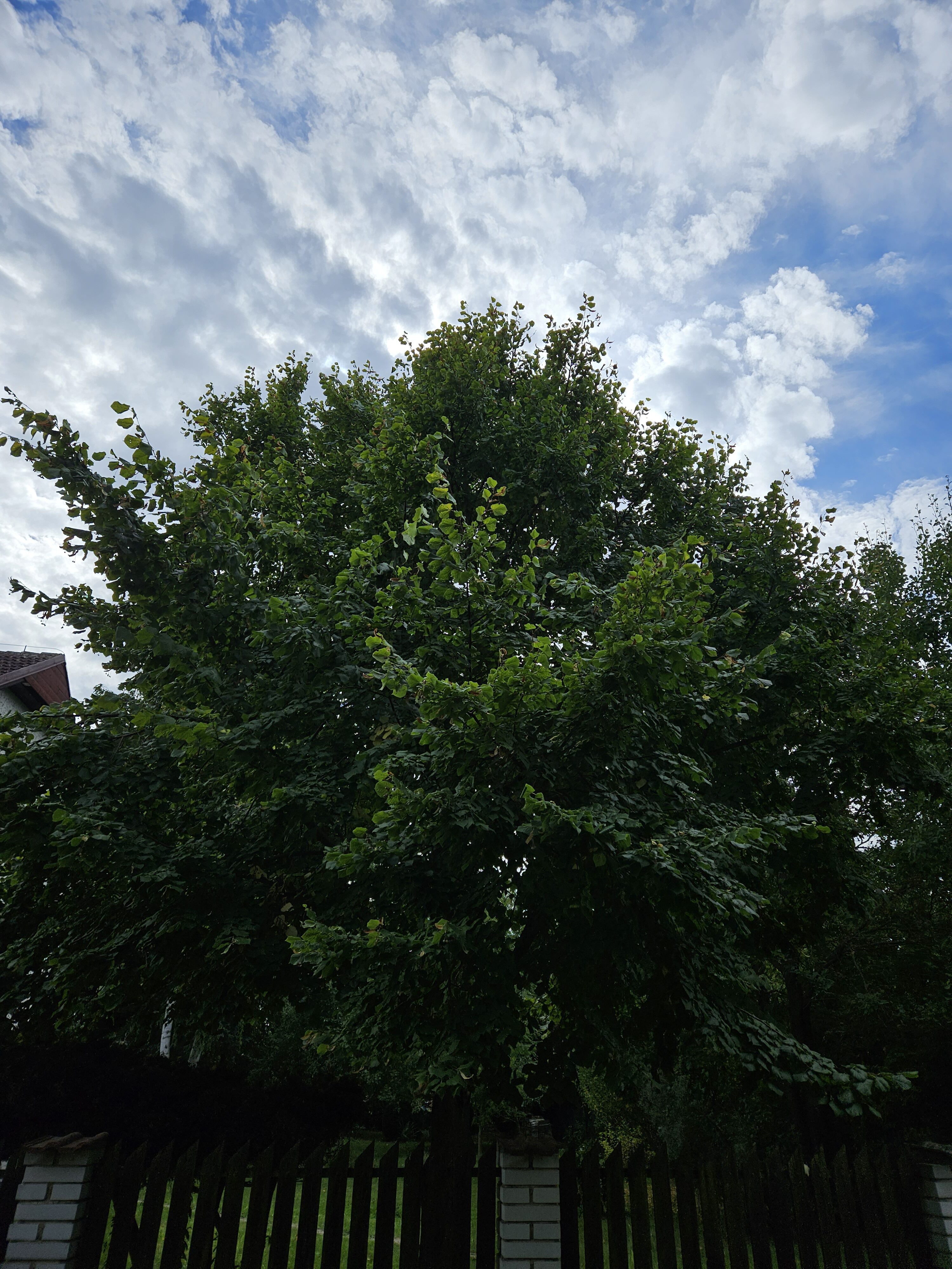 Galaxy_Z_Fold5_fotky_den_11 Galaxy Z Fold5 fotky den 11