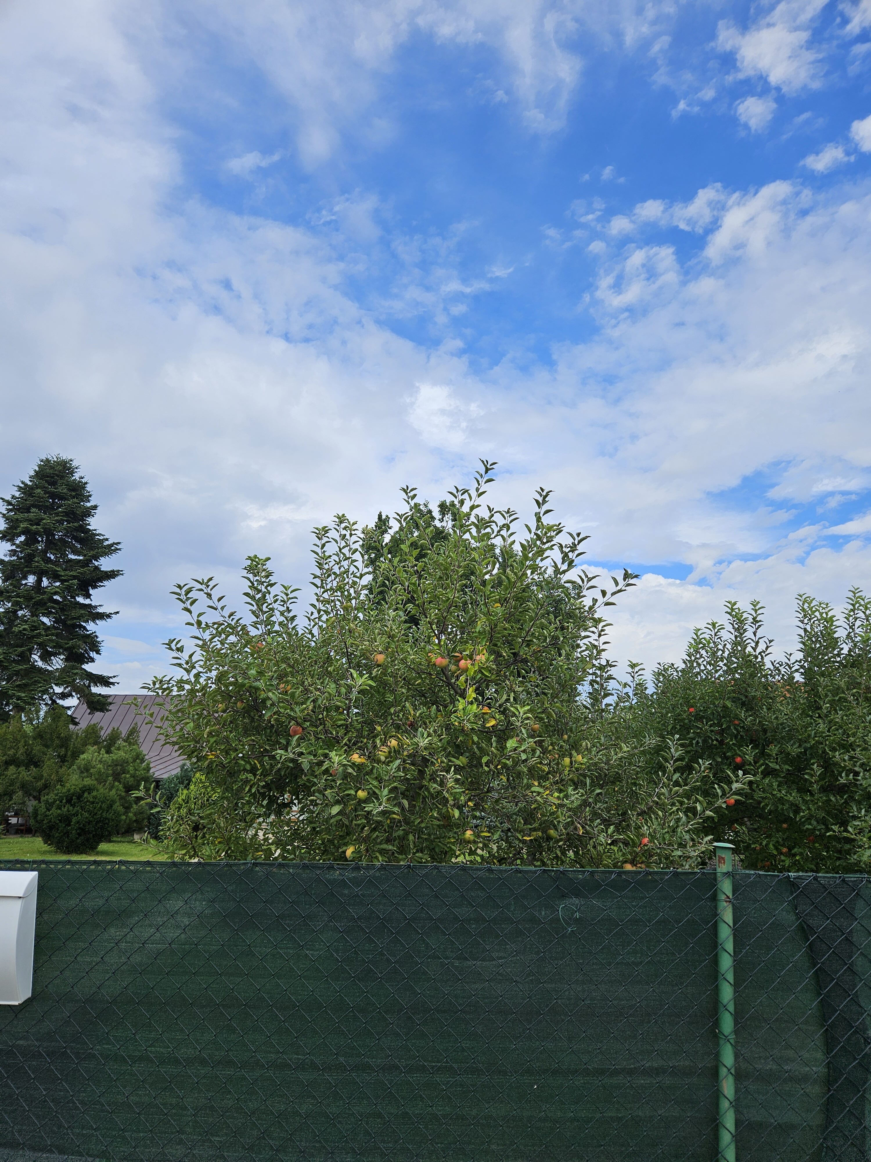 Galaxy Z Fold5 fotky den 12