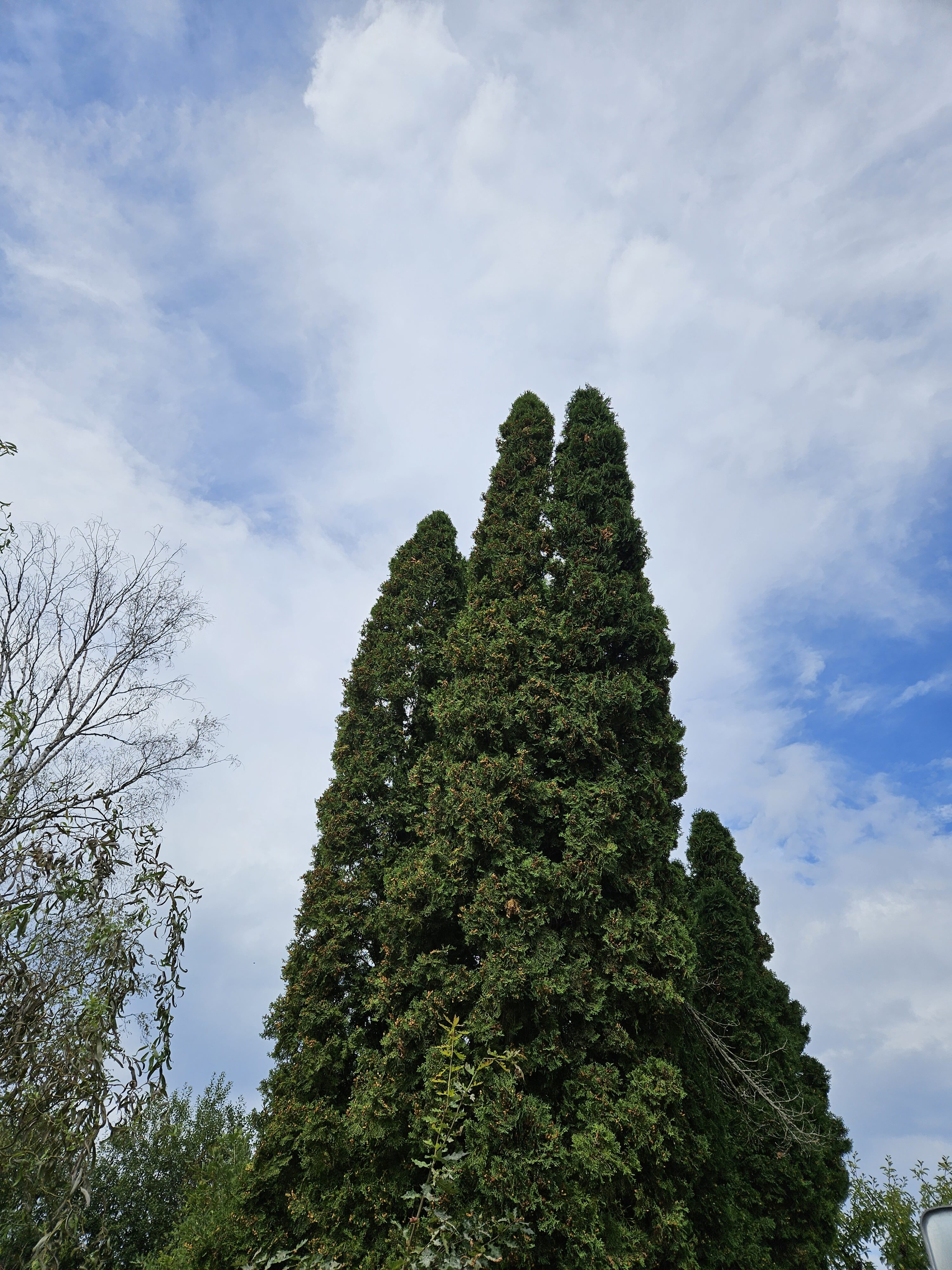 Galaxy Z Fold5 fotky den 14