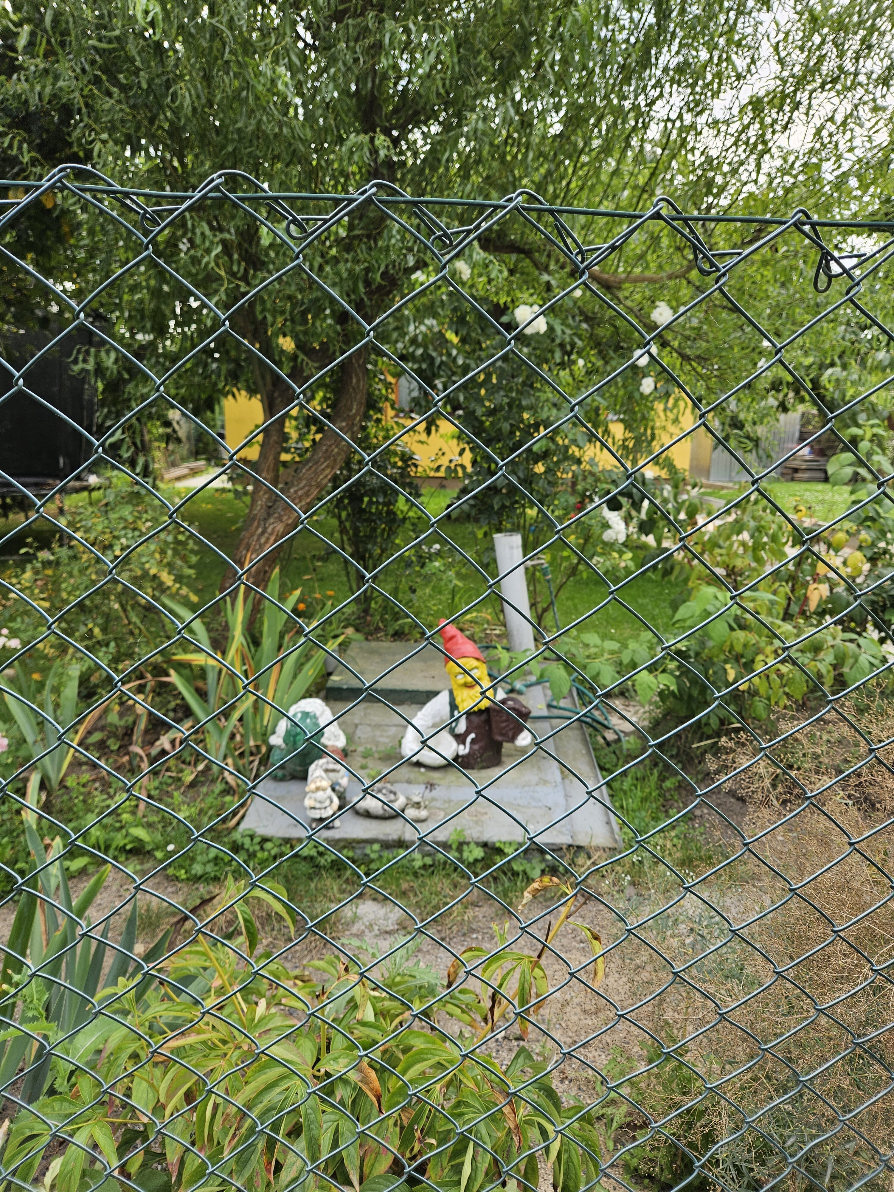 Galaxy Z Fold5 fotky den 15