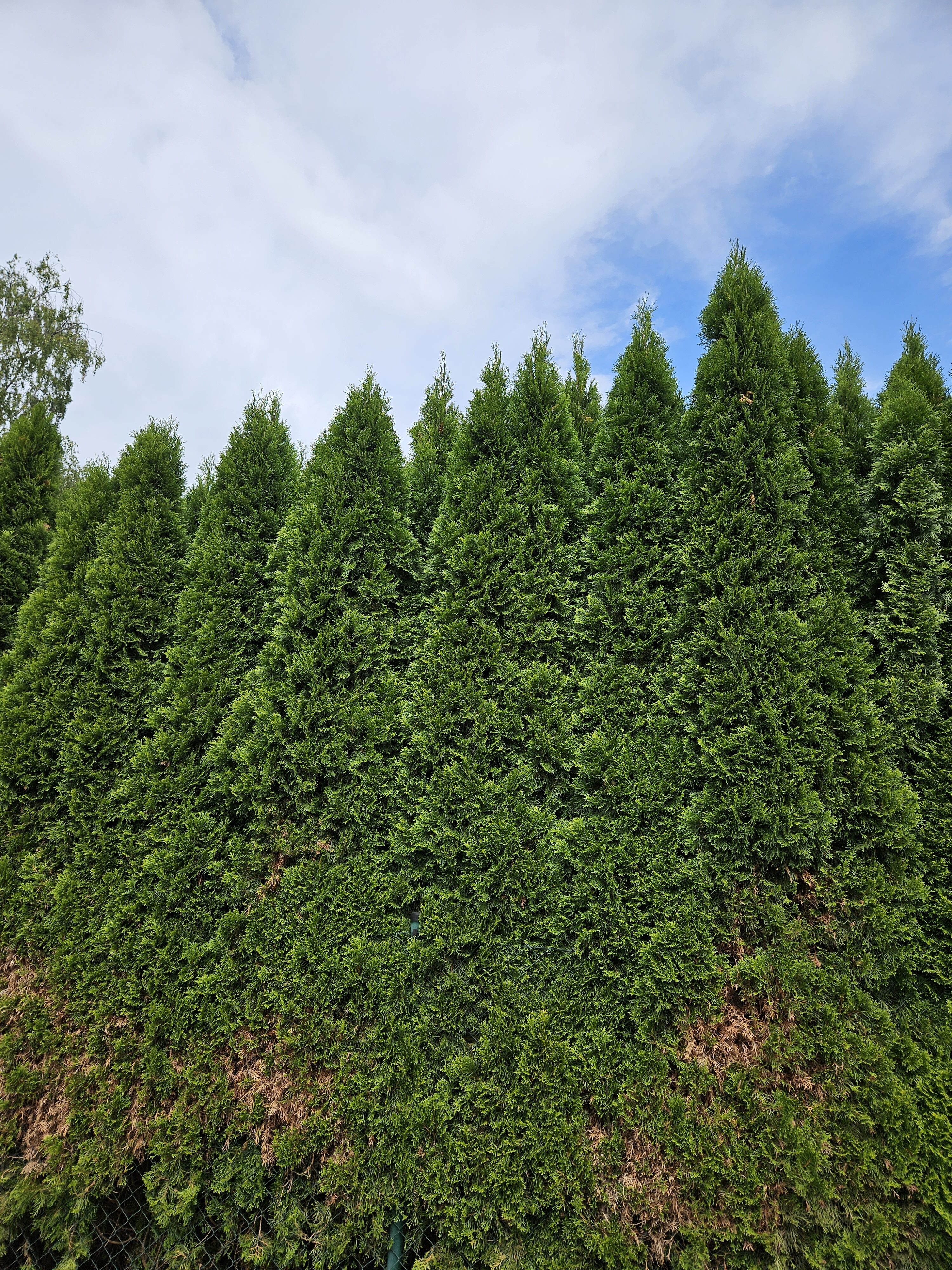 Galaxy Z Fold5 fotky den 16