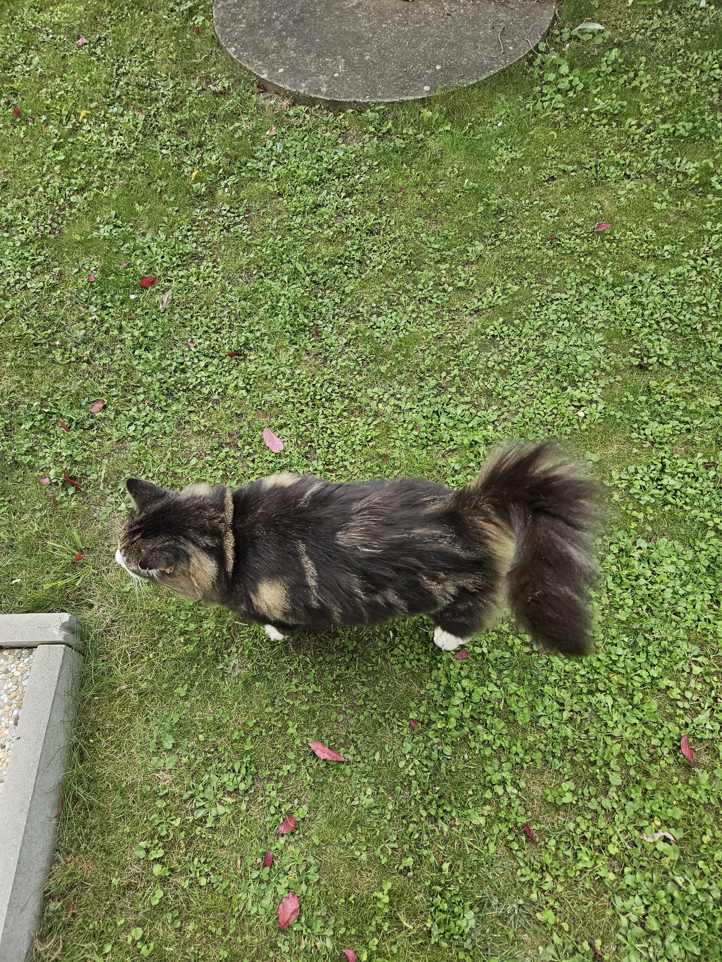 Galaxy Z Fold5 fotky den 2