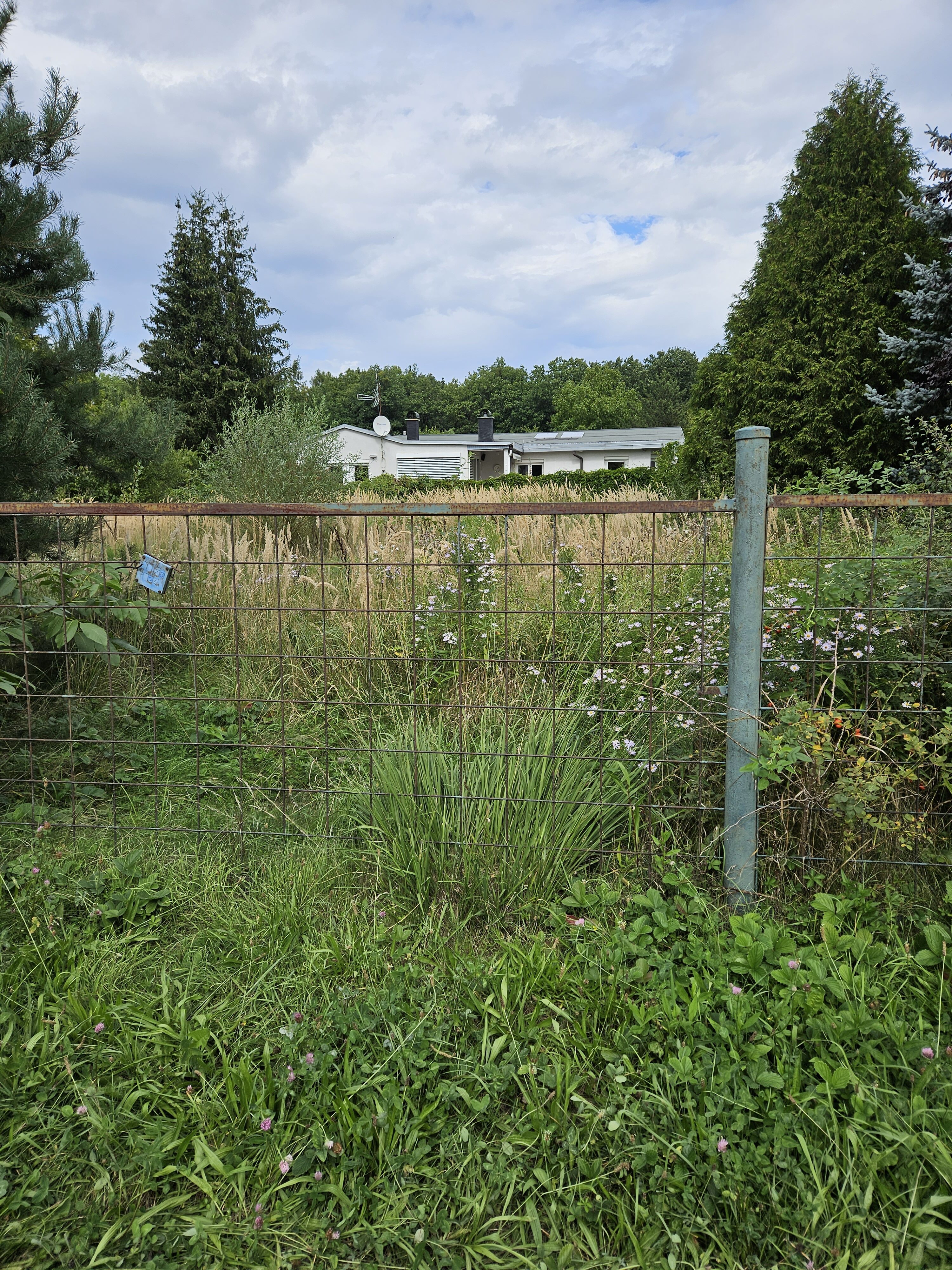 Galaxy Z Fold5 fotky den 20