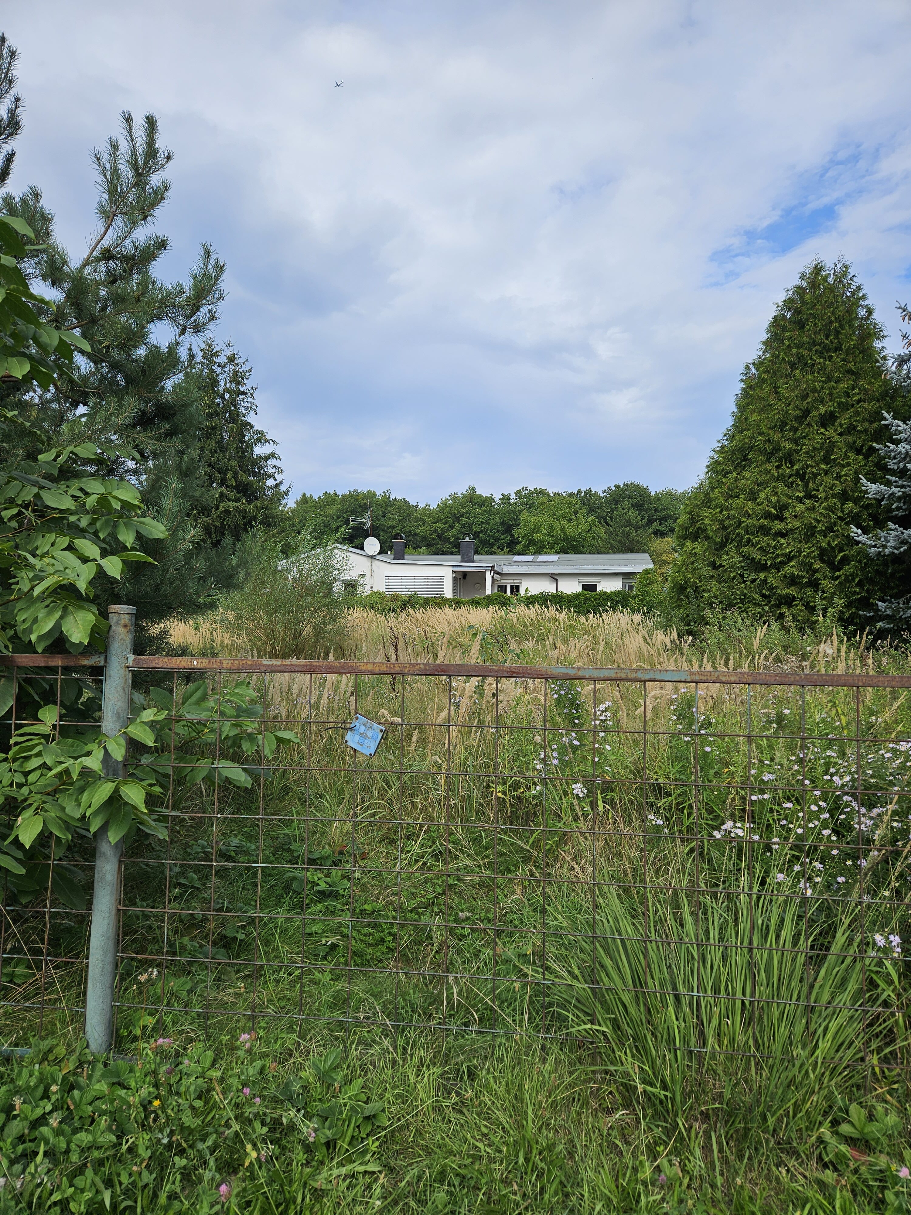 Galaxy Z Fold5 fotky den 31