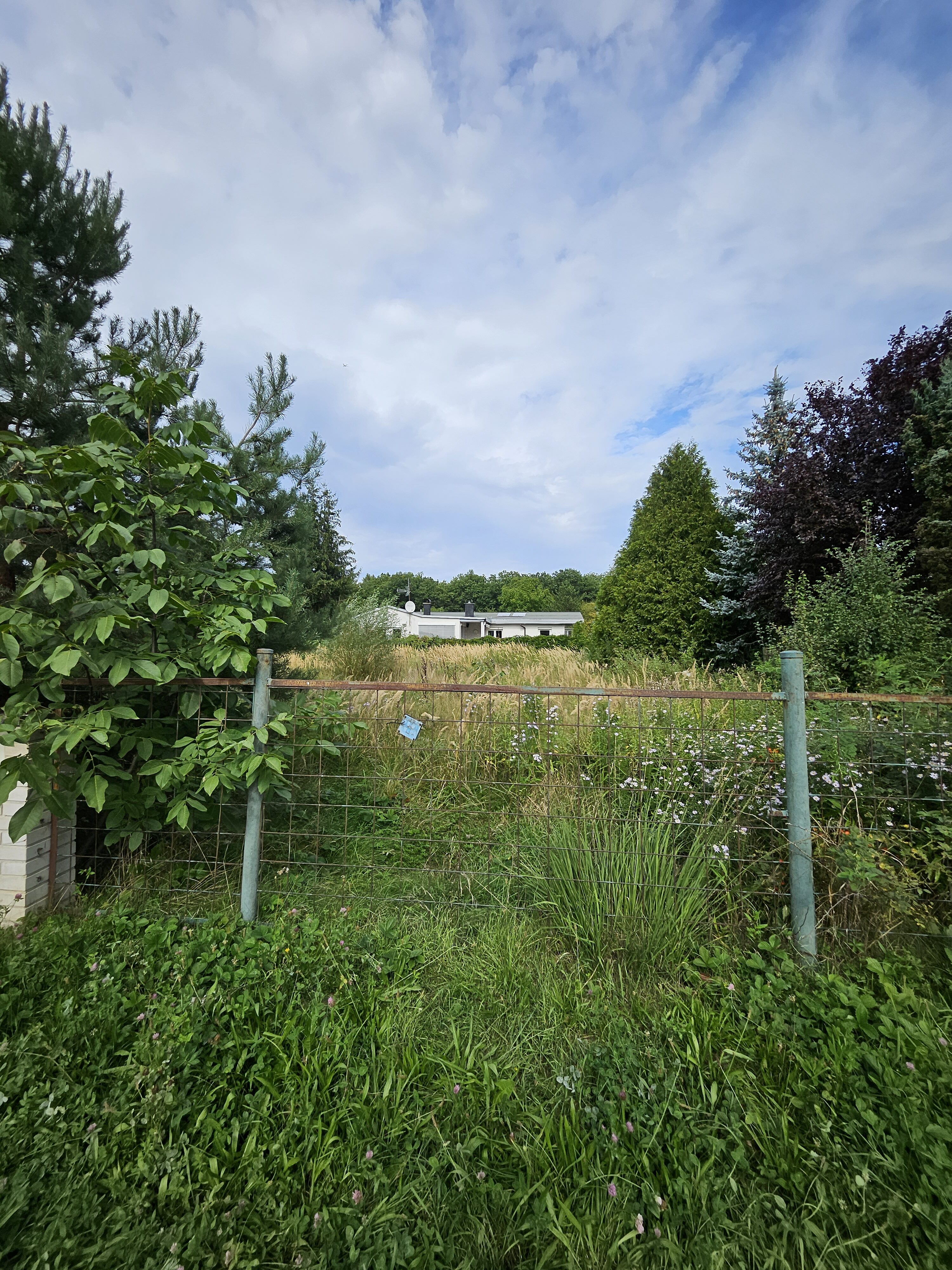 Galaxy Z Fold5 fotky den 32