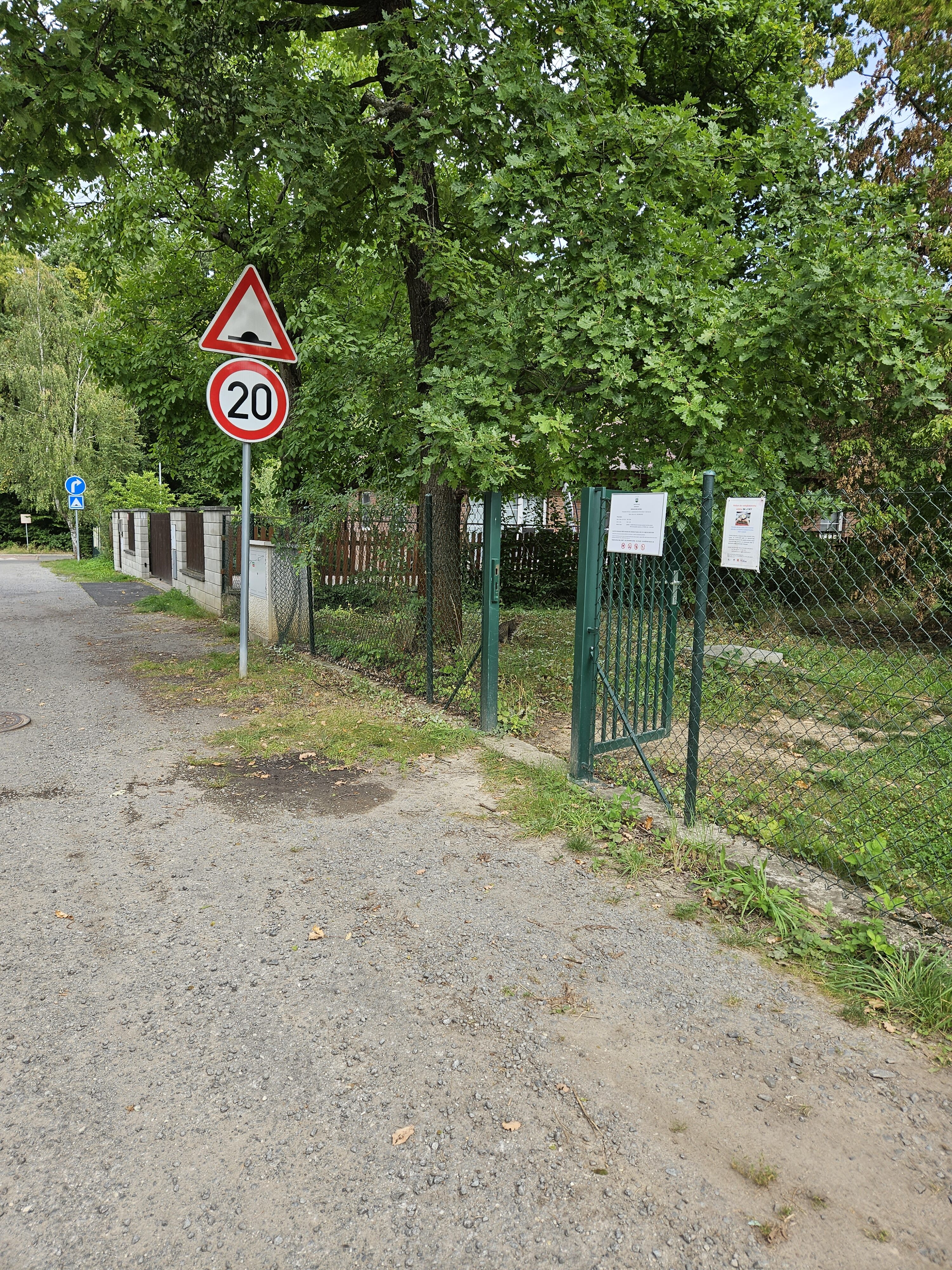 Galaxy Z Fold5 fotky den 43