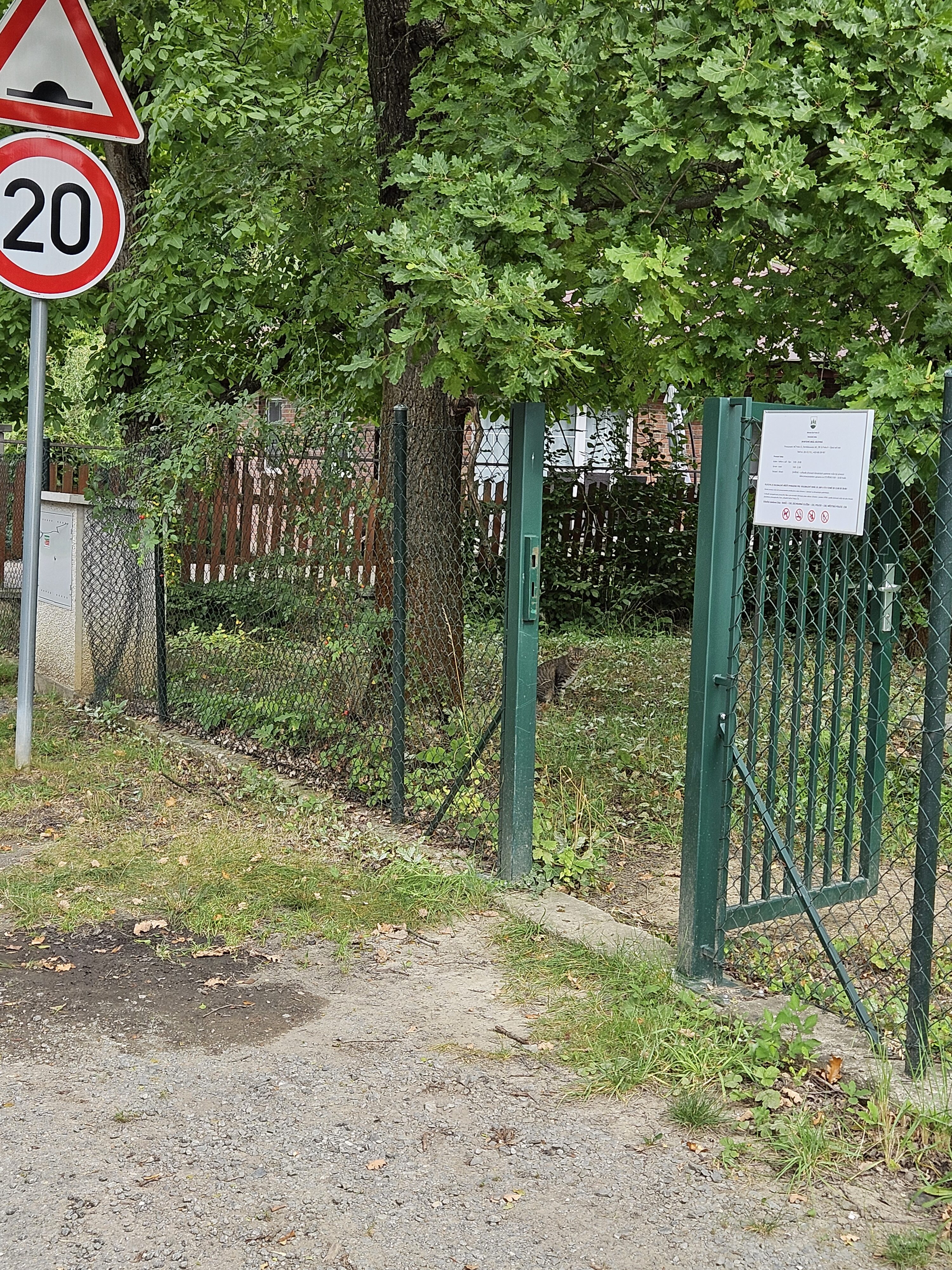 Galaxy Z Fold5 fotky den 44