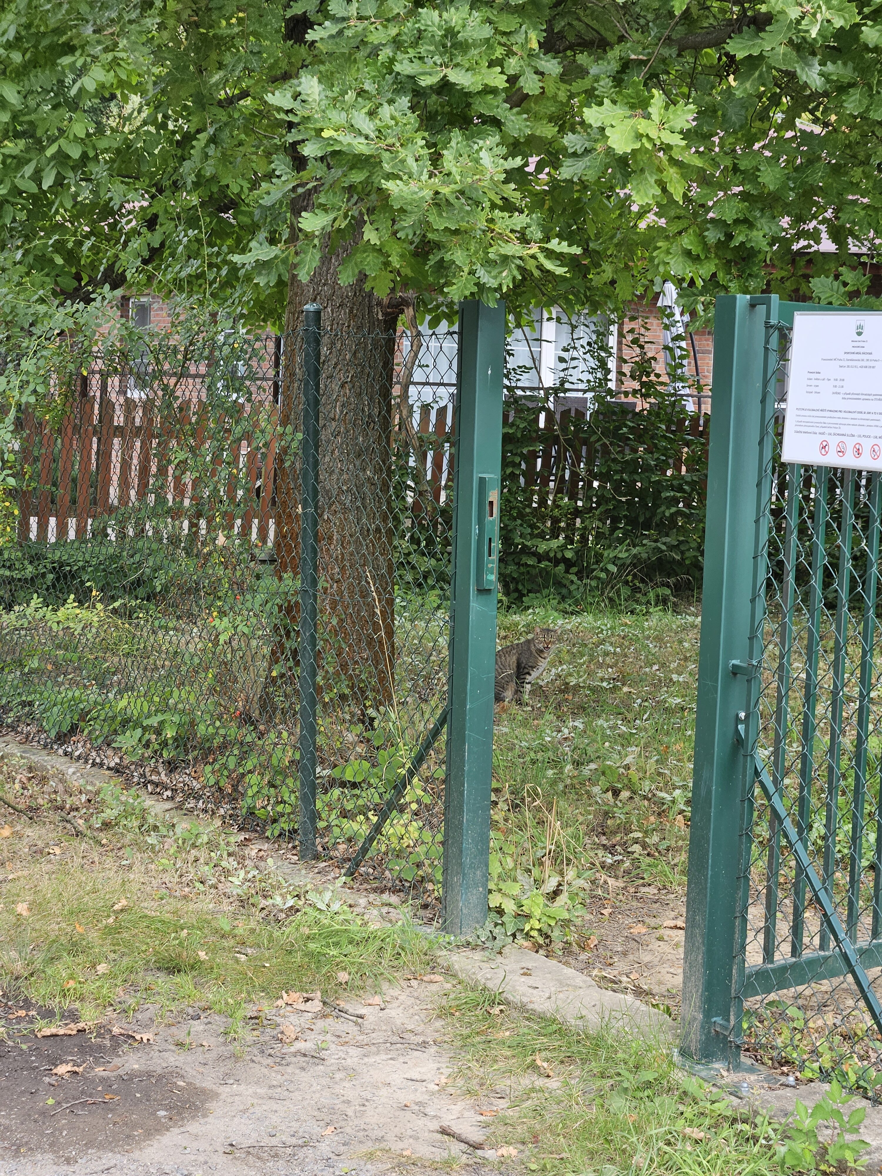 Galaxy Z Fold5 fotky den 45