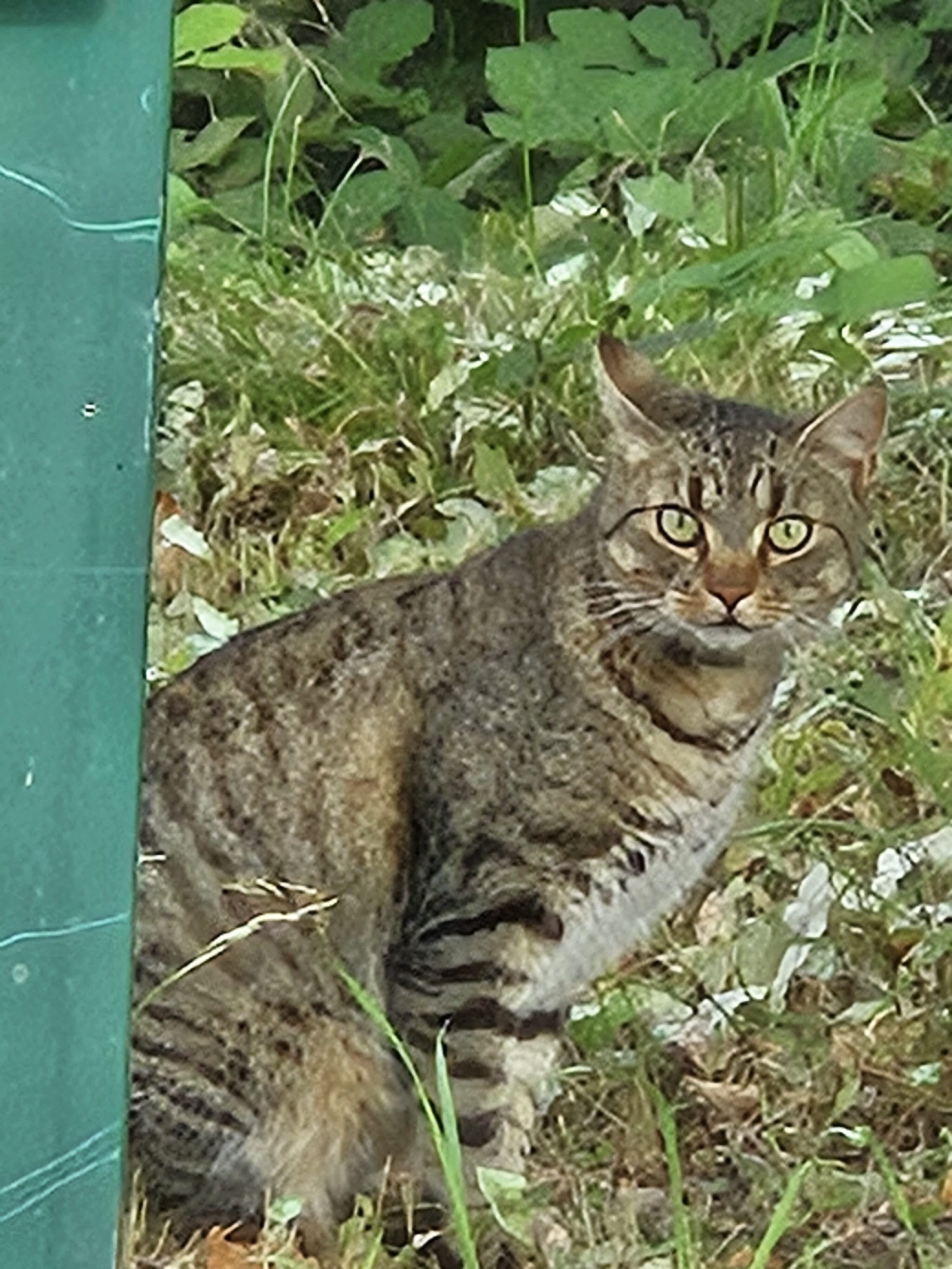 Galaxy Z Fold5 fotky den 47