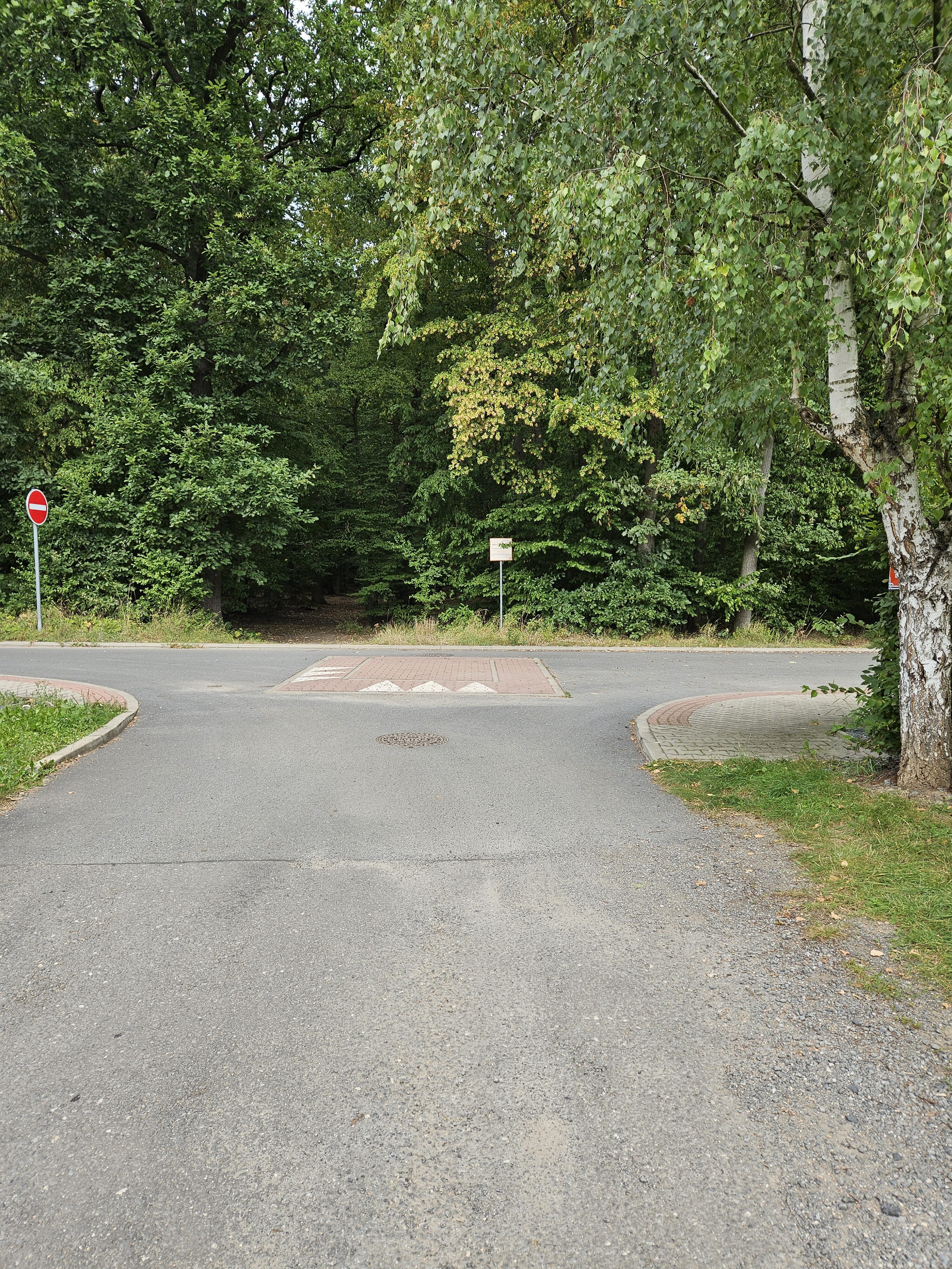 Galaxy Z Fold5 fotky den 48