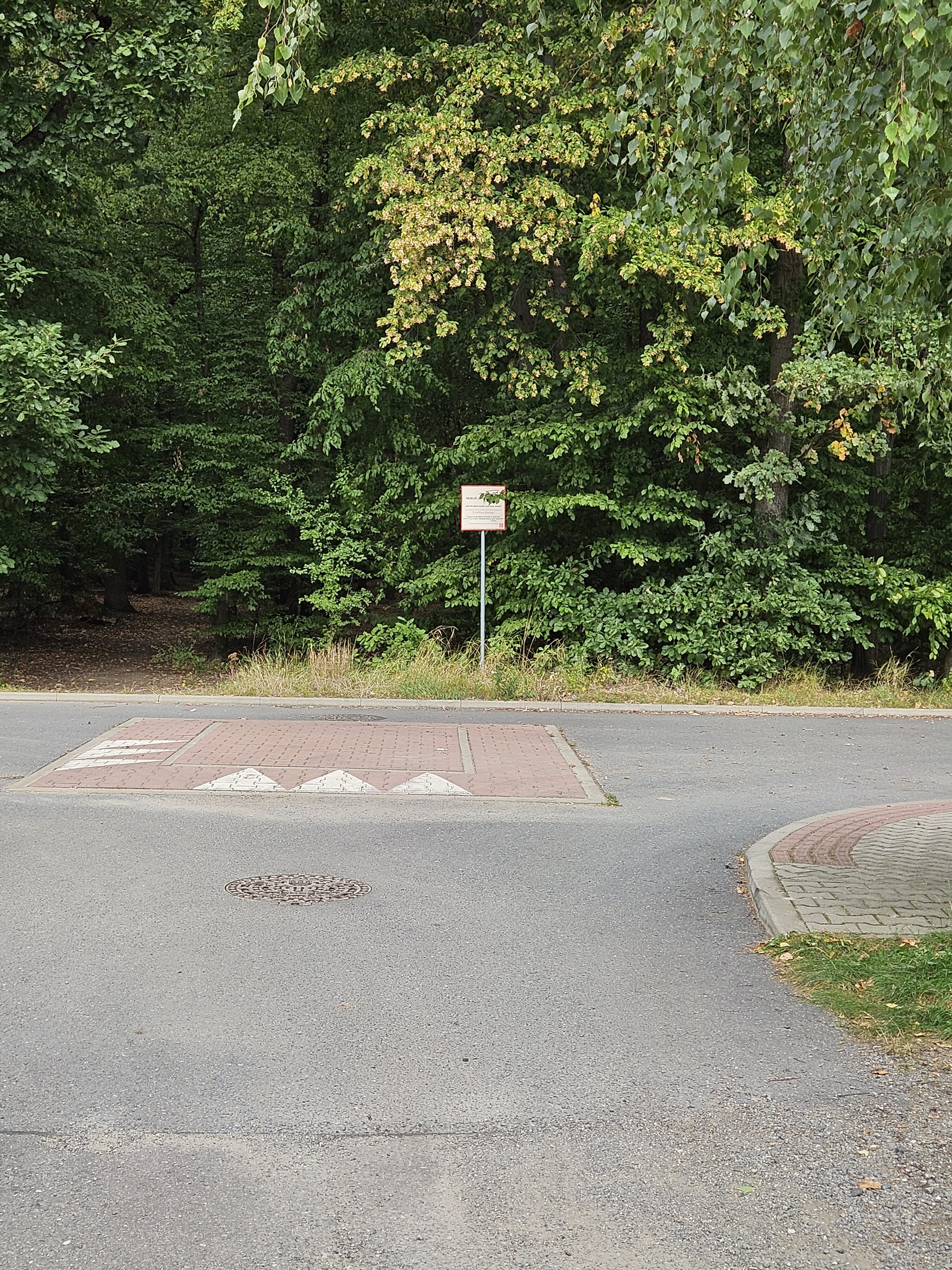 Galaxy Z Fold5 fotky den 49