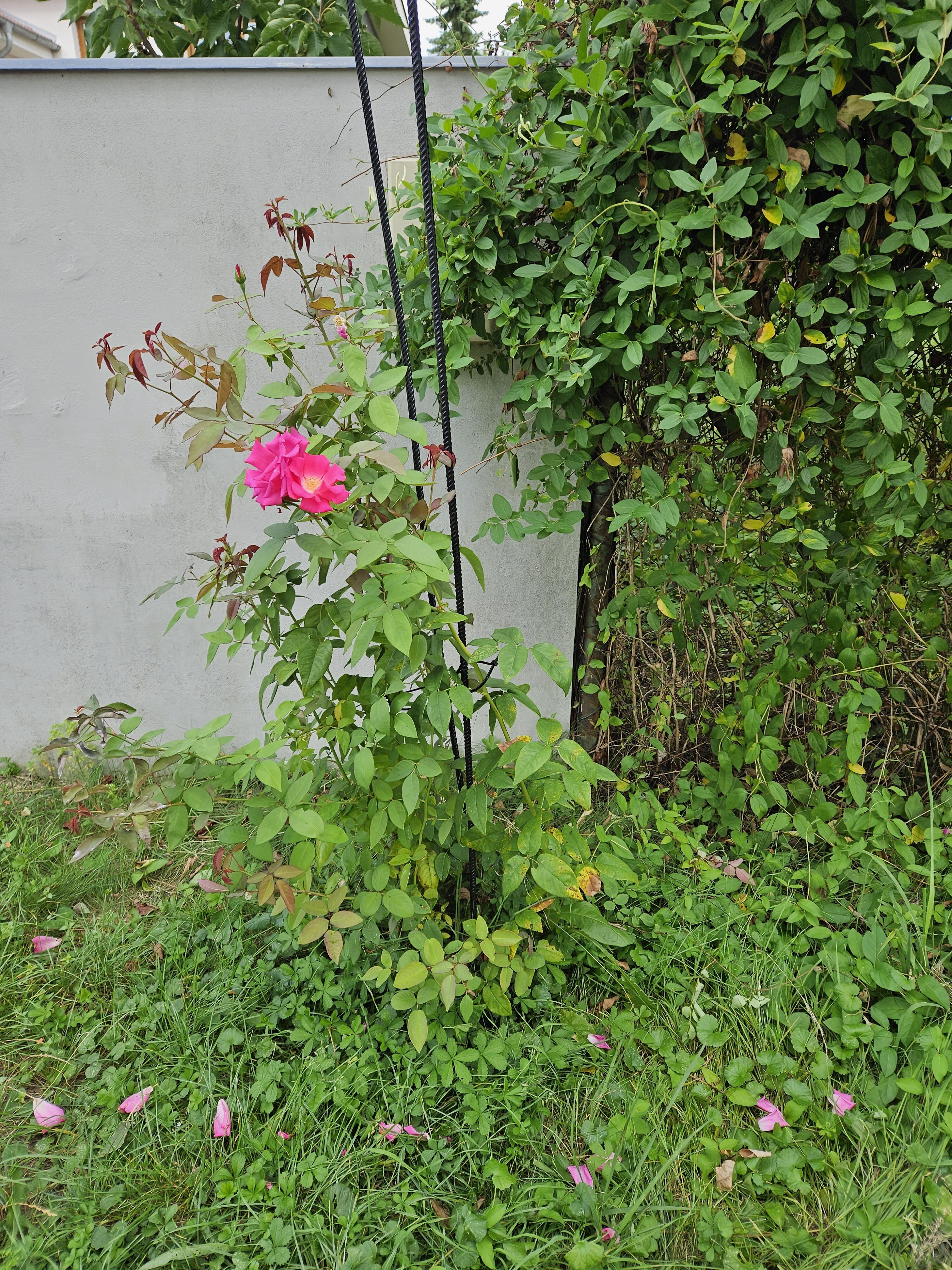 Galaxy_Z_Fold5_fotky_den_5 Galaxy Z Fold5 fotky den 5