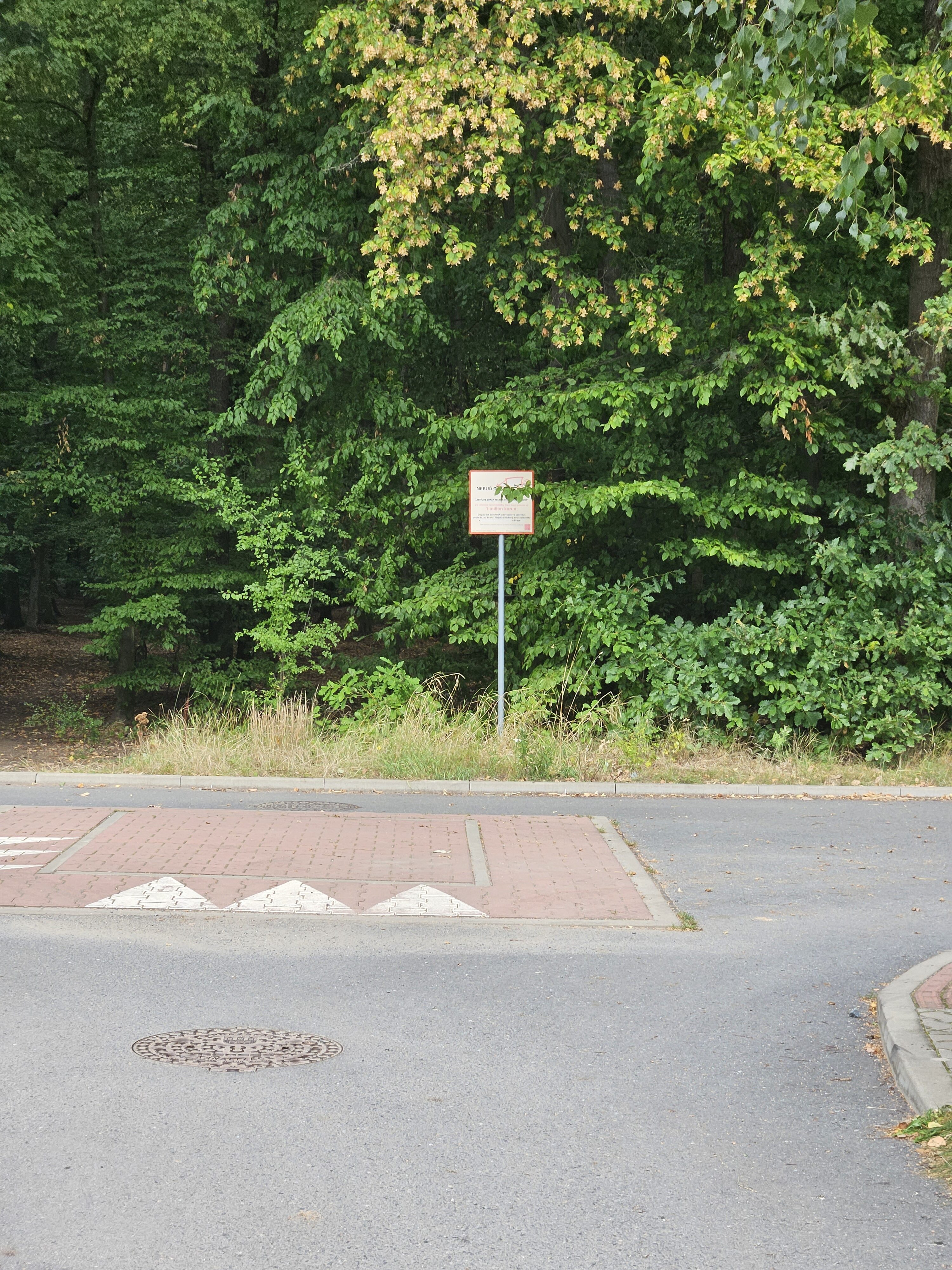 Galaxy Z Fold5 fotky den 50