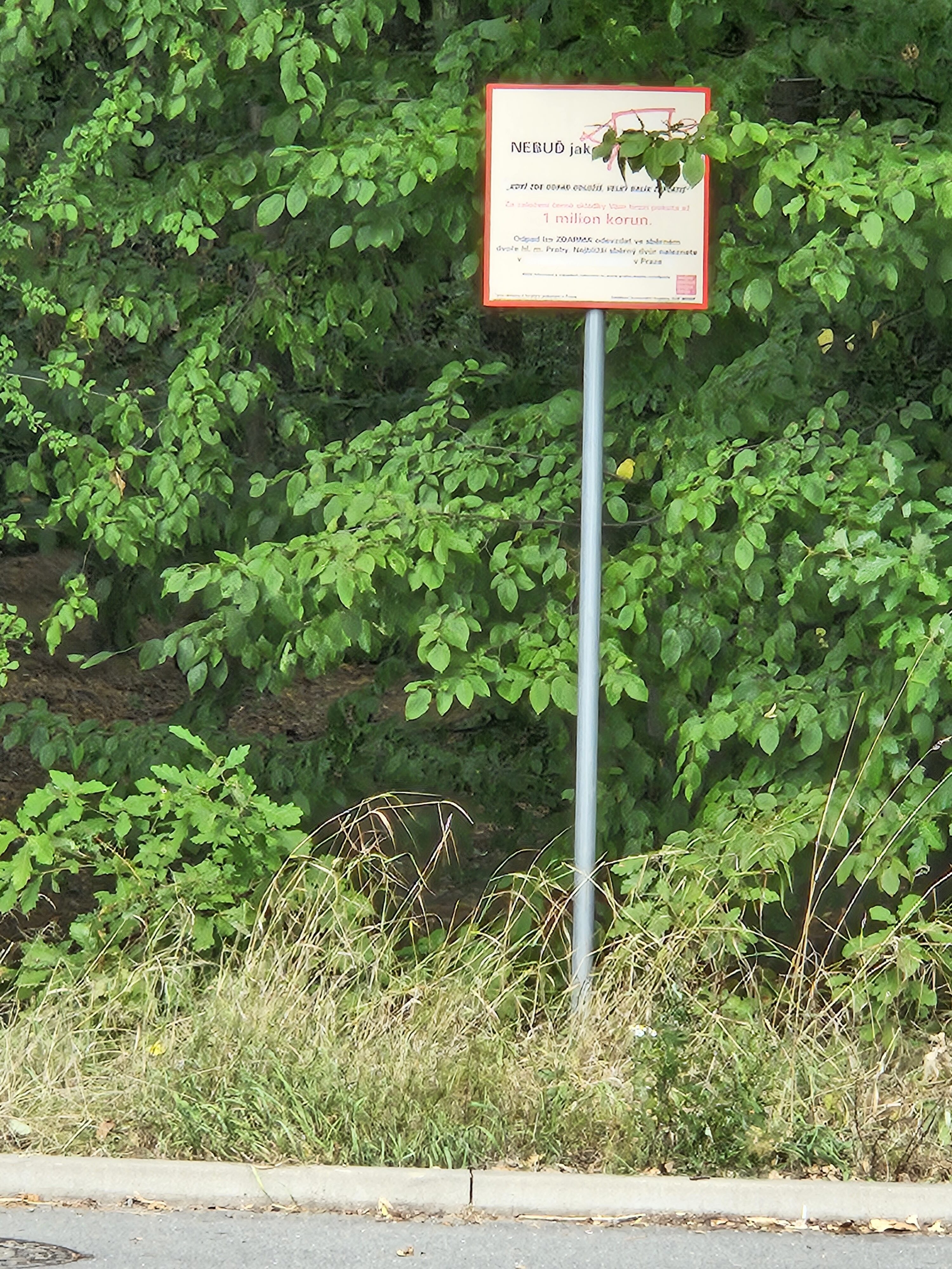 Galaxy Z Fold5 fotky den 51