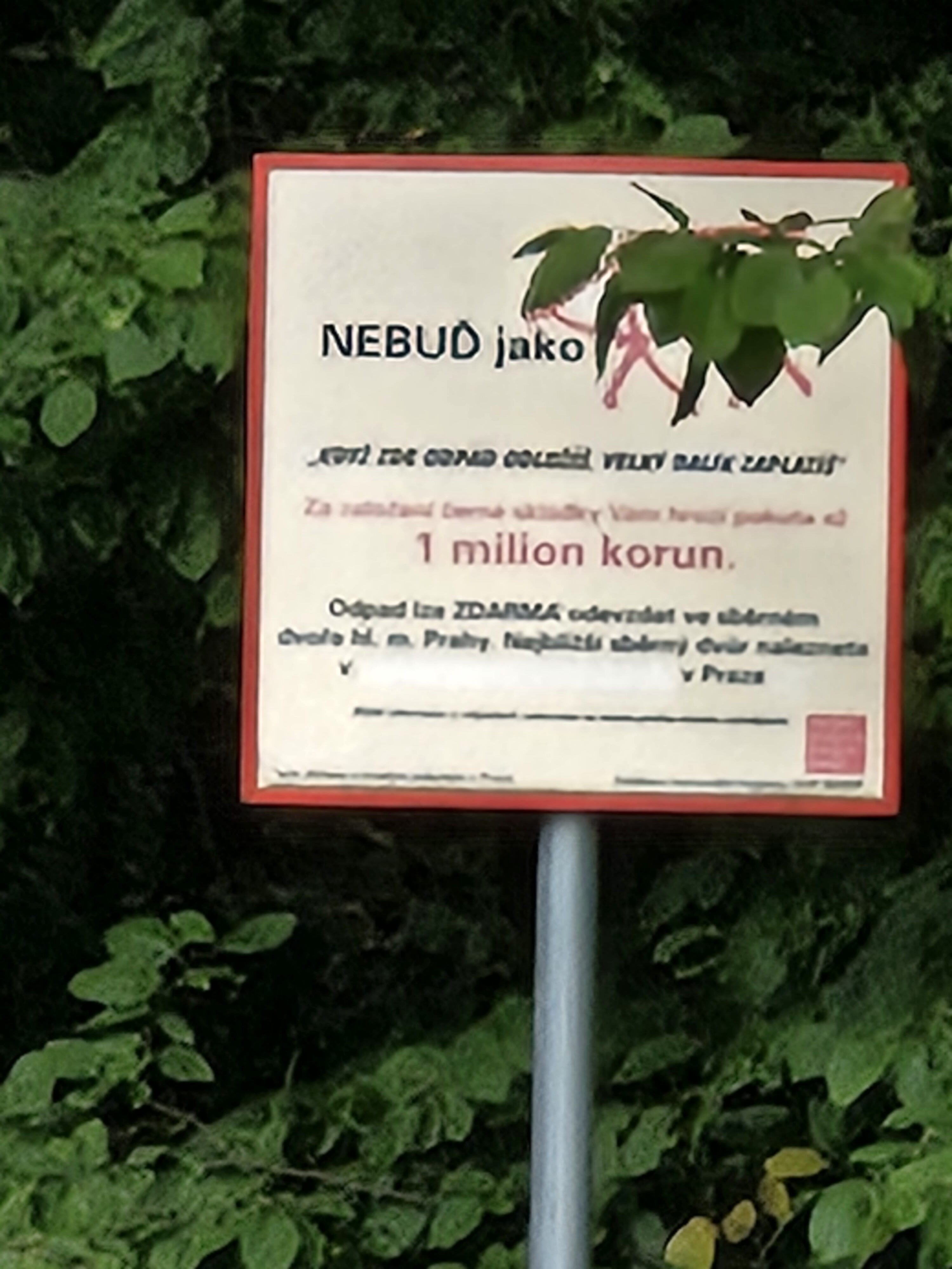 Galaxy Z Fold5 fotky den 52