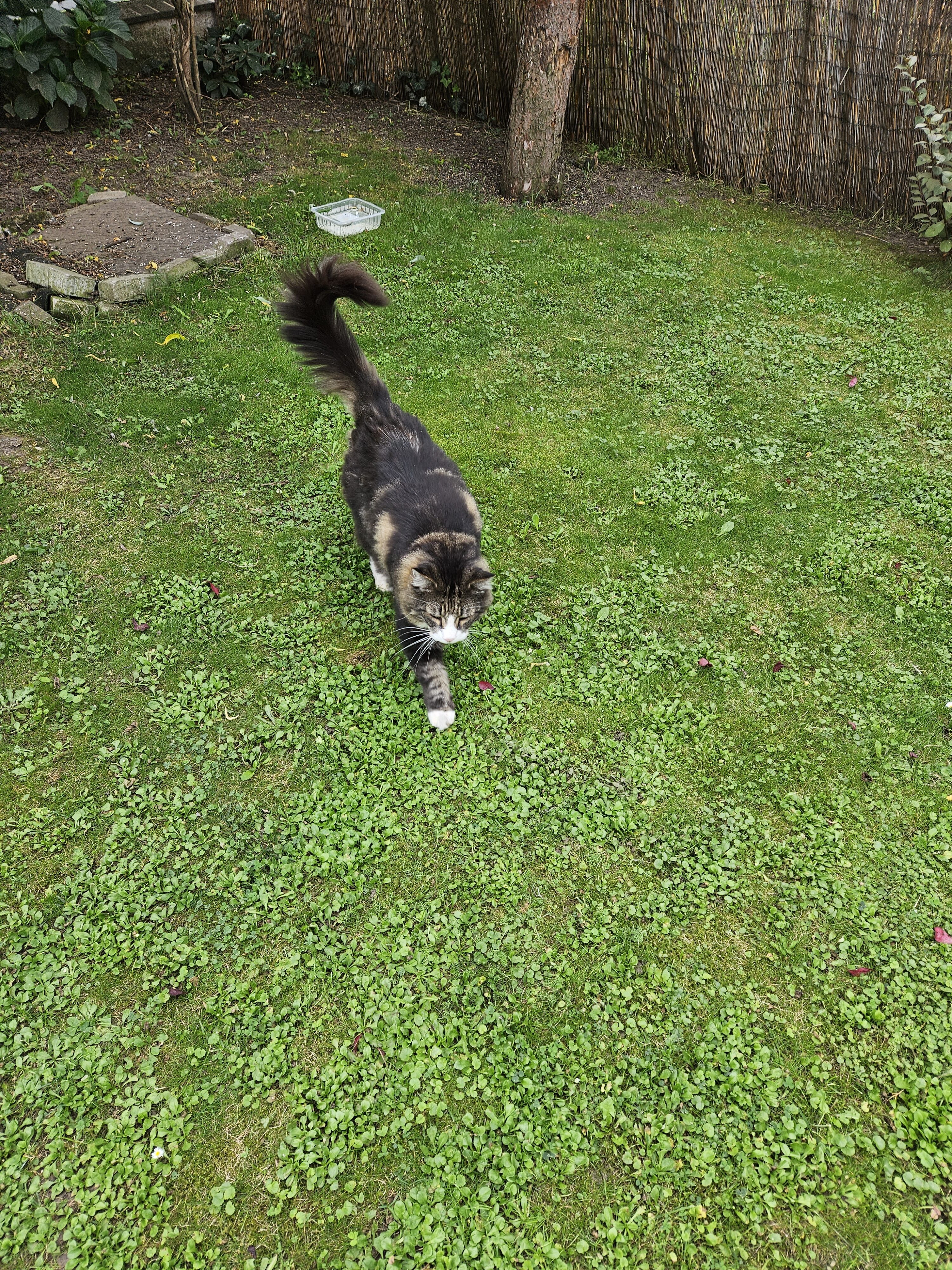 Galaxy_Z_Fold5_fotky_den_54 Galaxy Z Fold5 fotky den 54