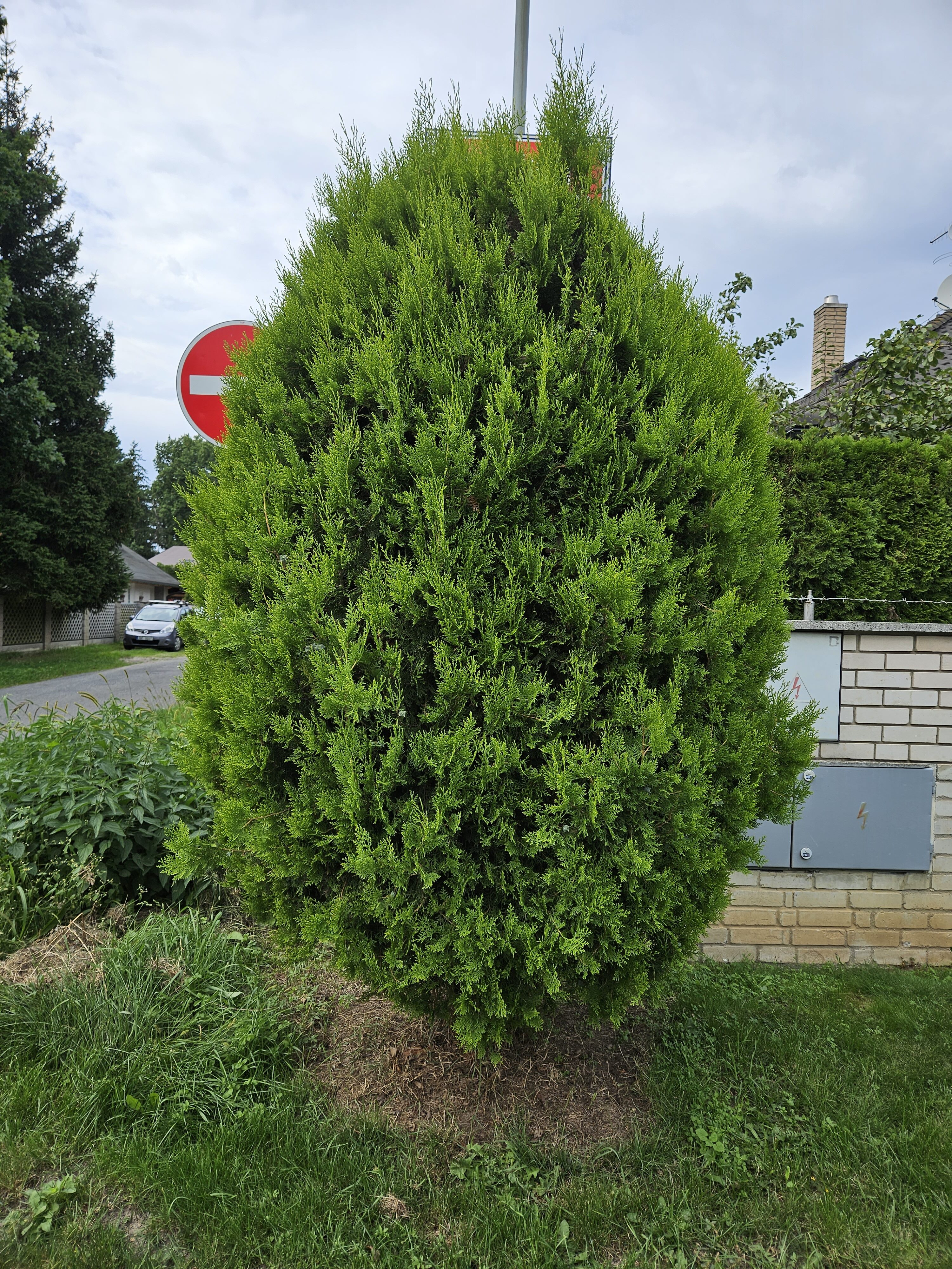 Galaxy_Z_Fold5_fotky_den_6 Galaxy Z Fold5 fotky den 6