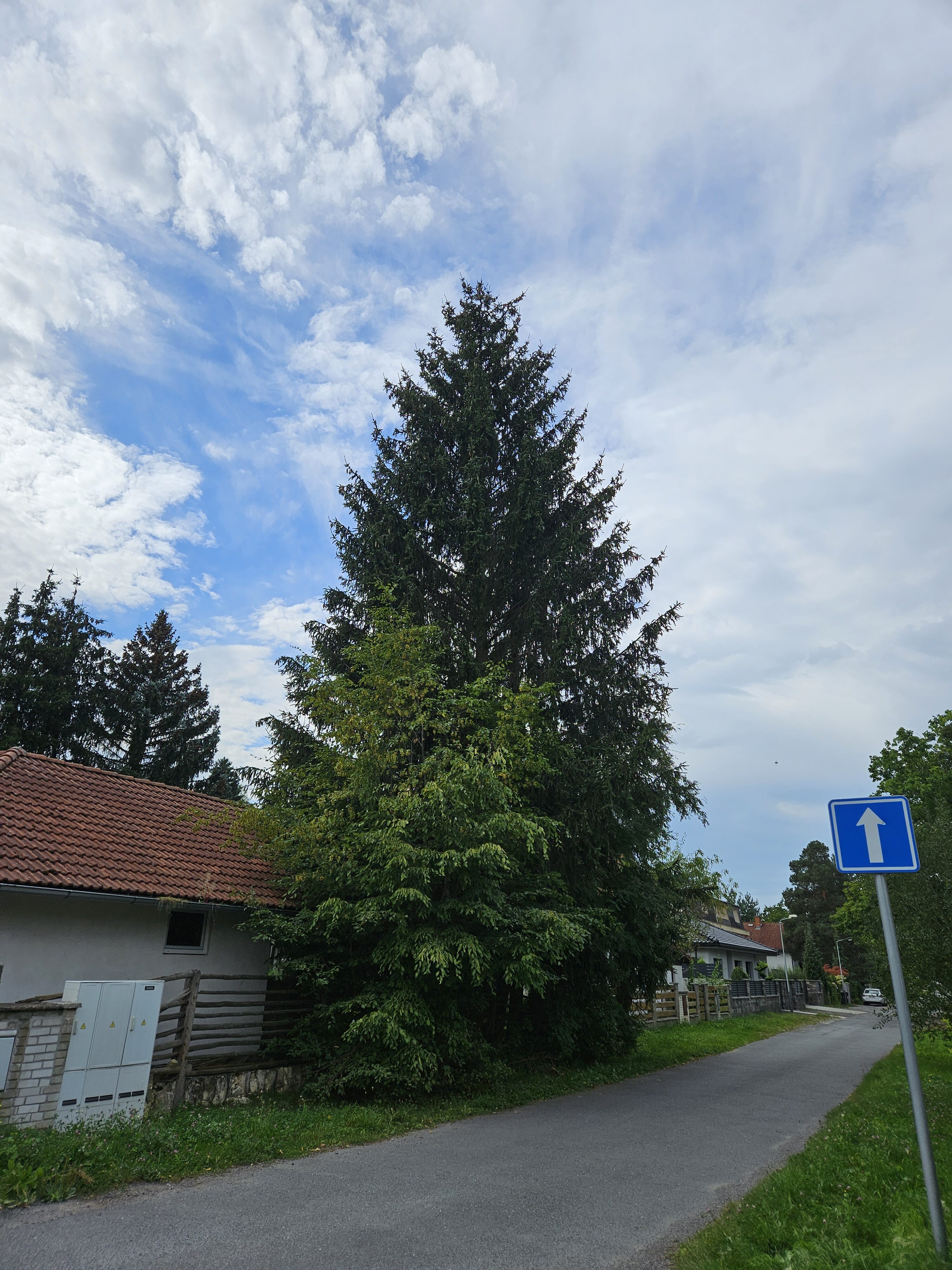 Galaxy Z Fold5 fotky den 8