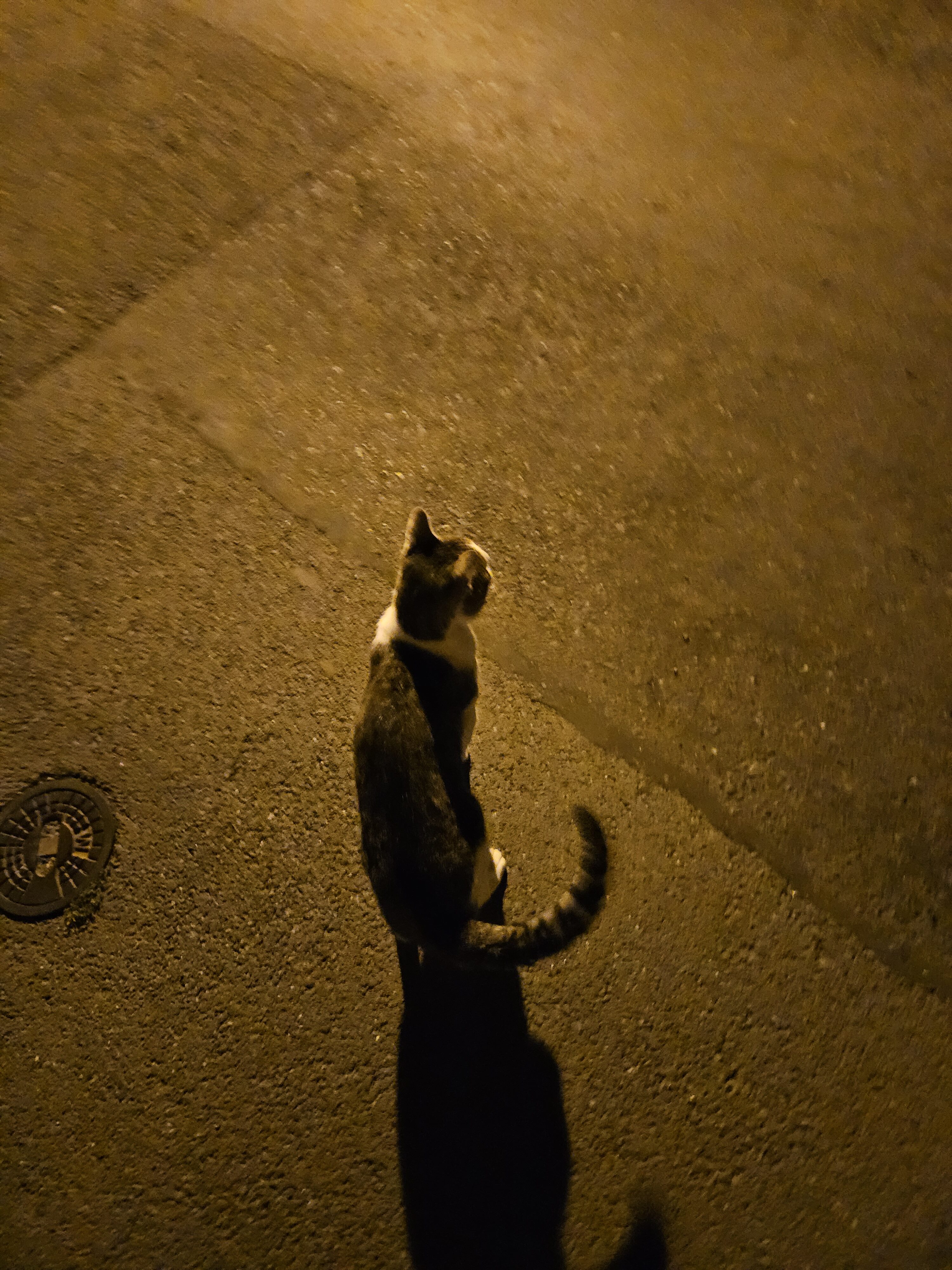 Galaxy Z Fold5 nocni fotky 01