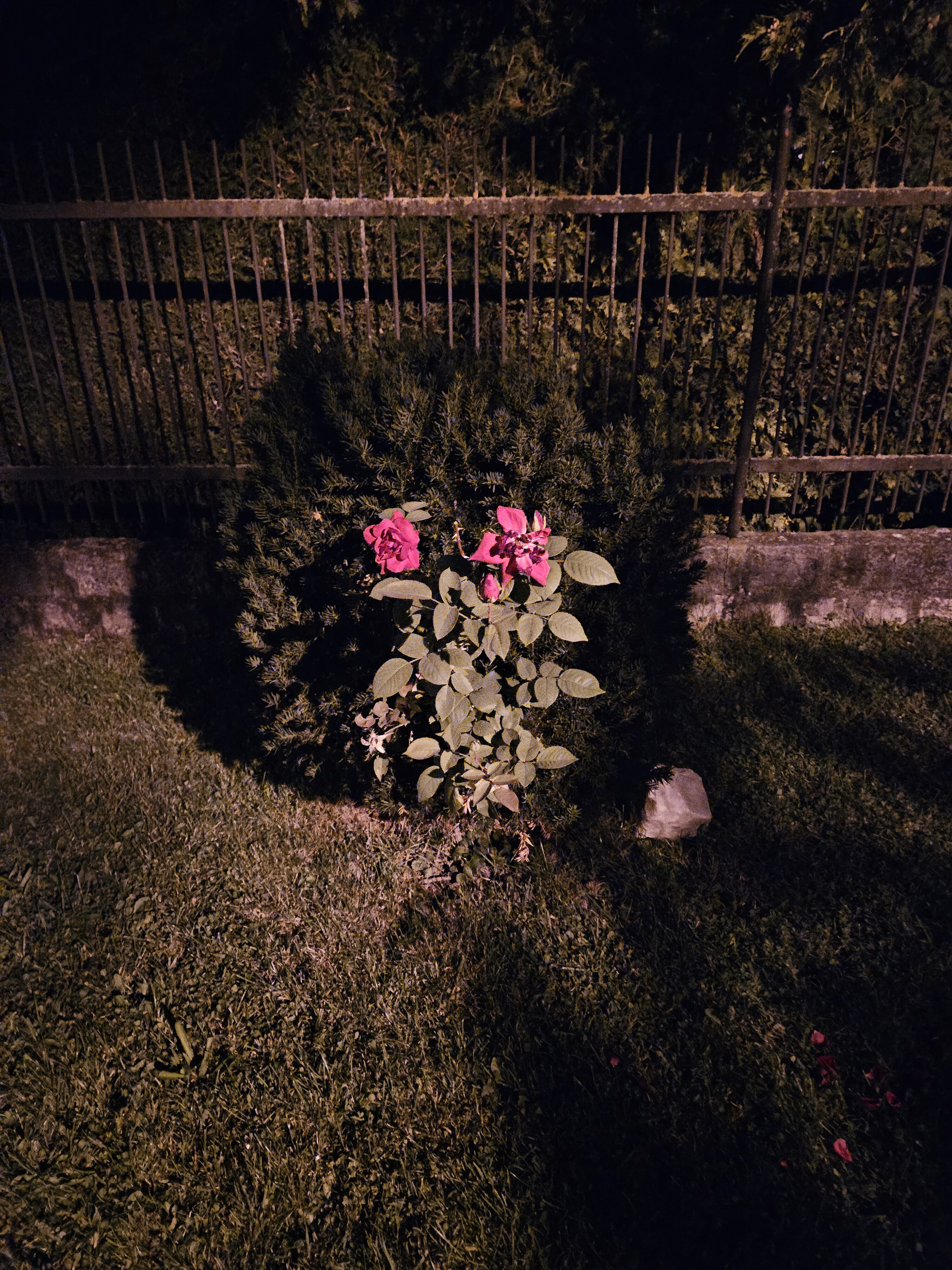 Galaxy_Z_Fold5_nocni_fotky_12 Galaxy Z Fold5 nocni fotky 12