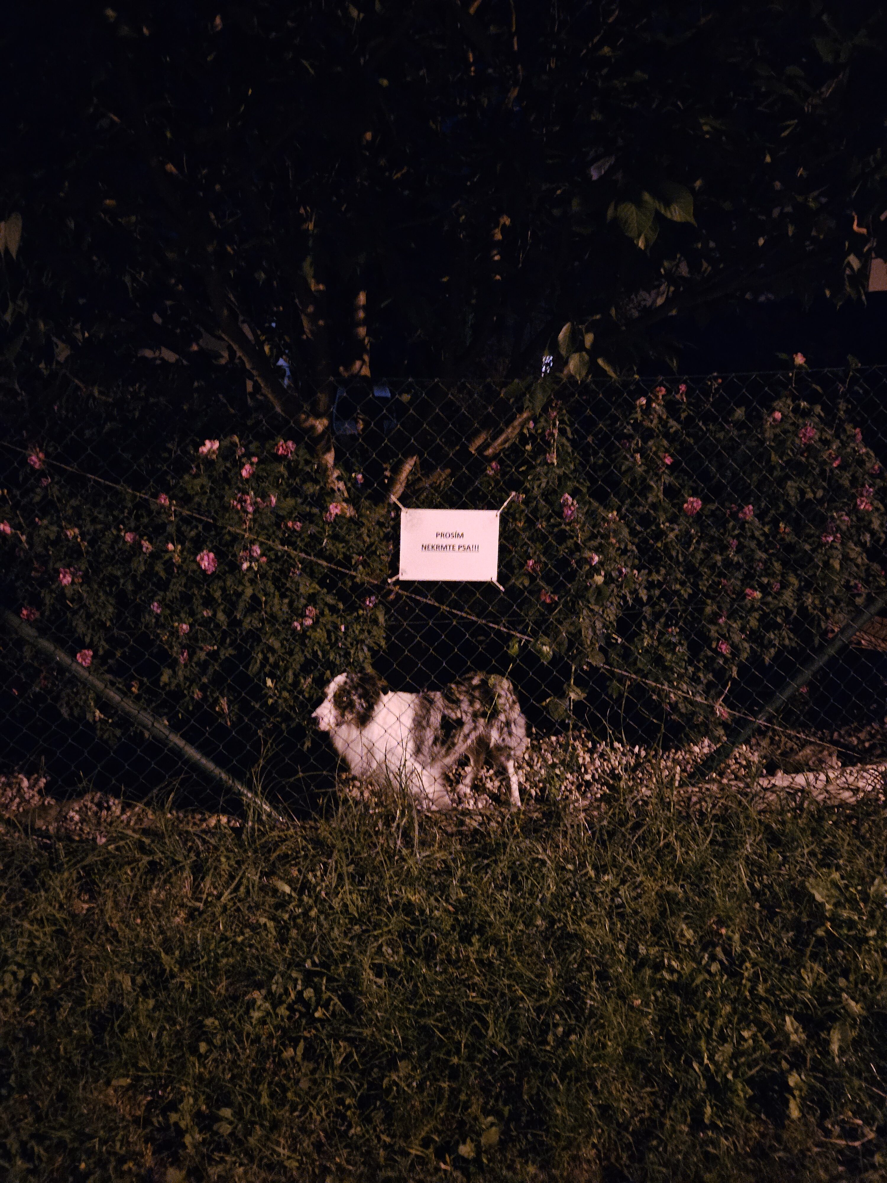 Galaxy_Z_Fold5_nocni_fotky_13 Galaxy Z Fold5 nocni fotky 13