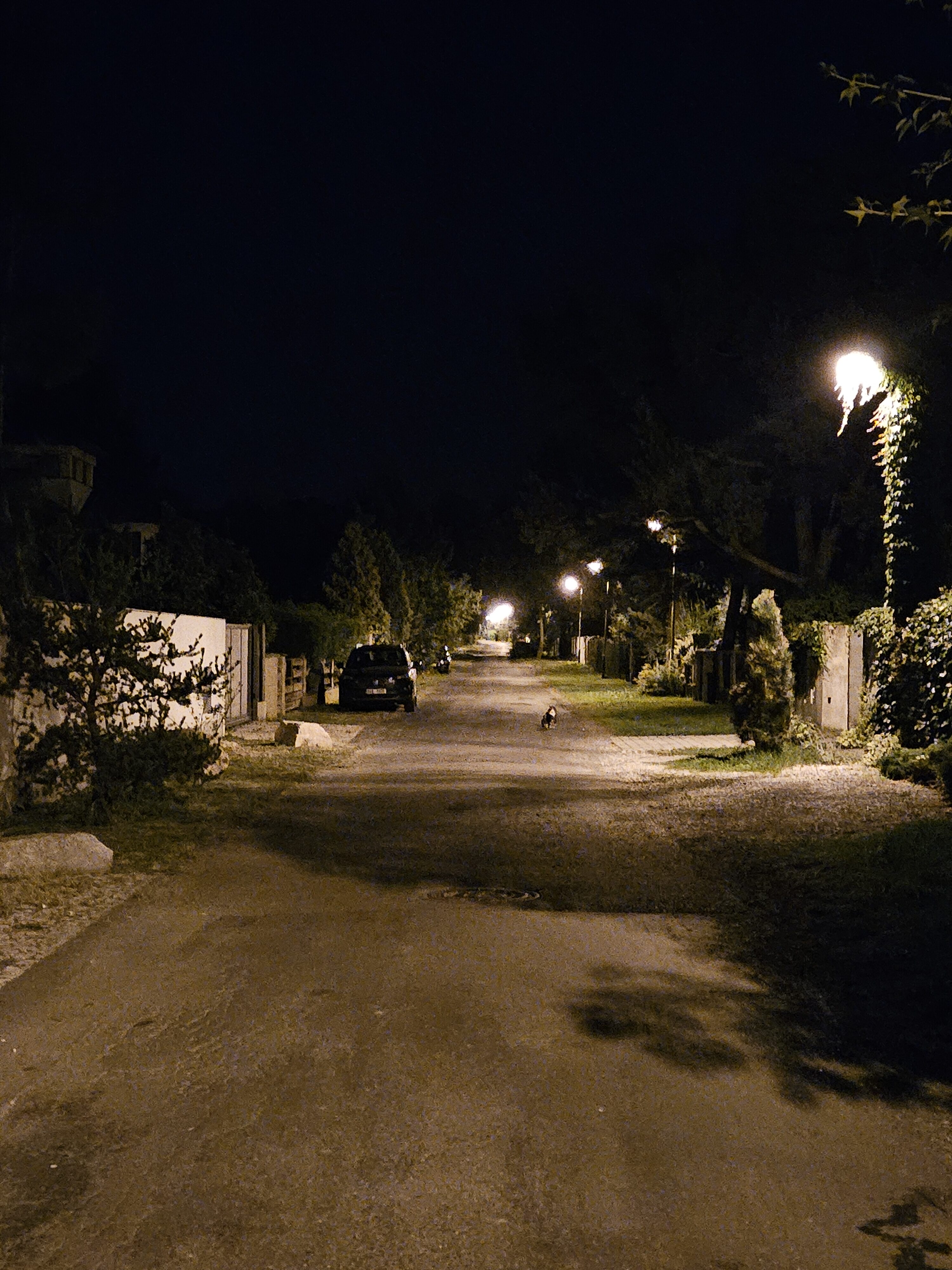 Galaxy Z Fold5 nocni fotky 27