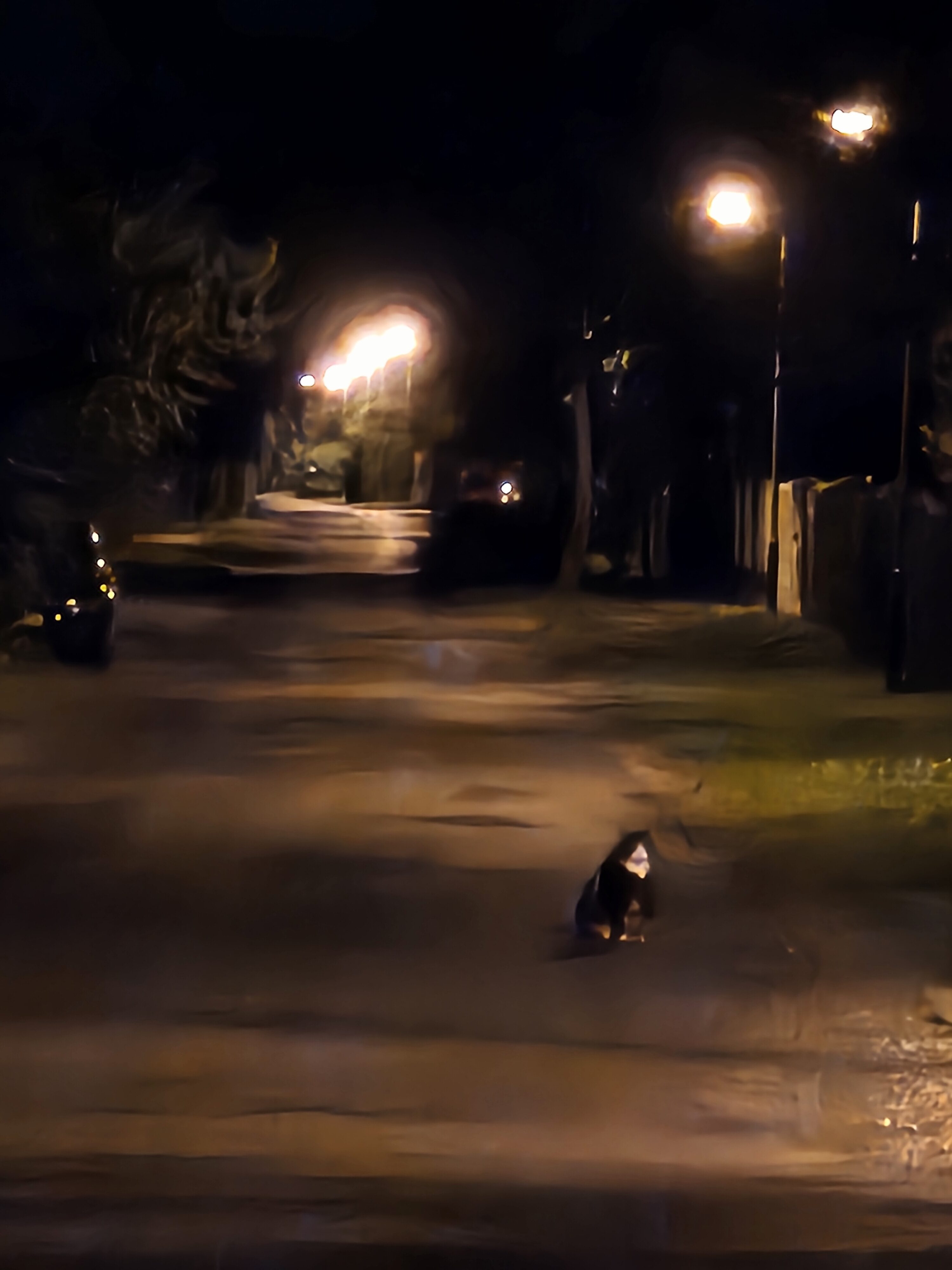 Galaxy Z Fold5 nocni fotky 29