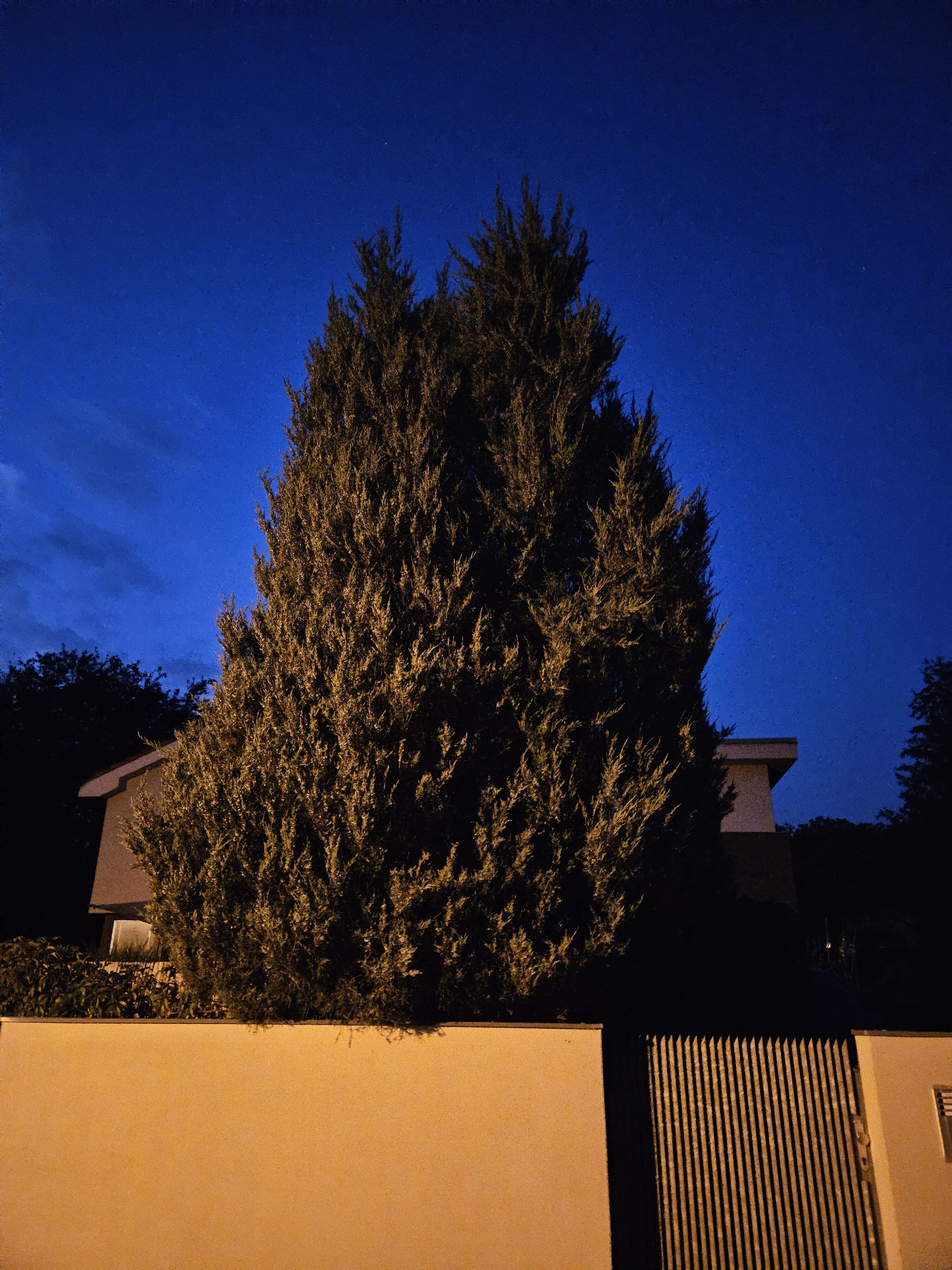 Galaxy Z Fold5 nocni fotky 7