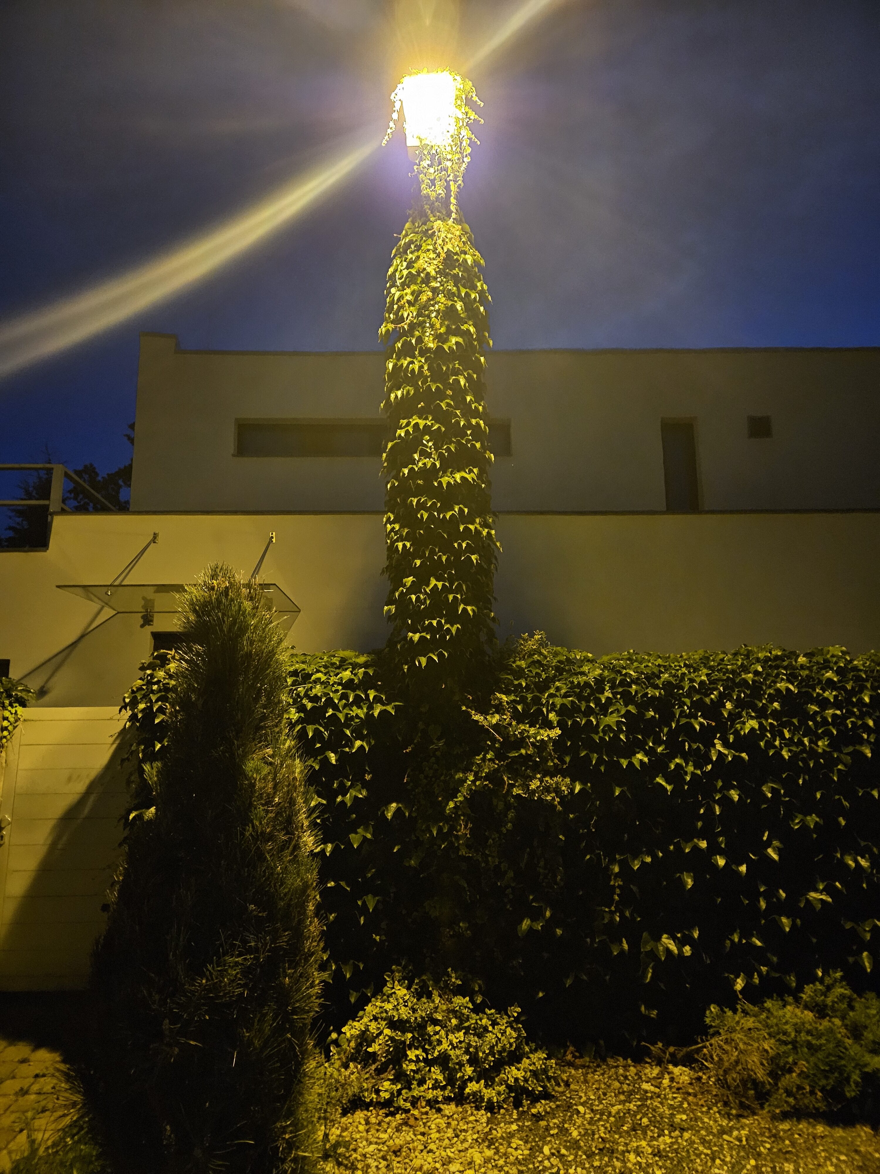 Galaxy Z Fold5 nocni fotky 8