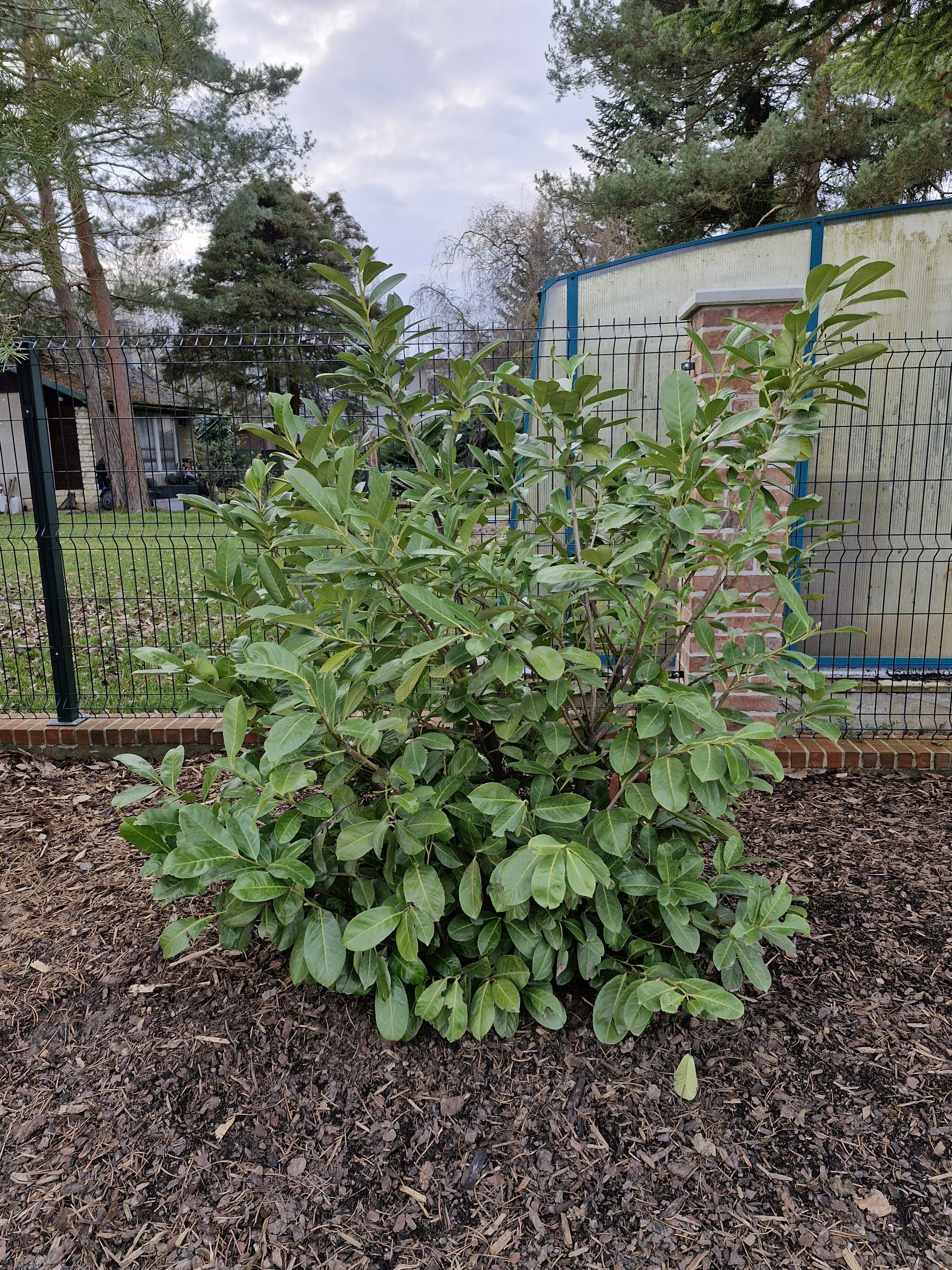 Galaxy Día 23 de la fotografía del S10 FE