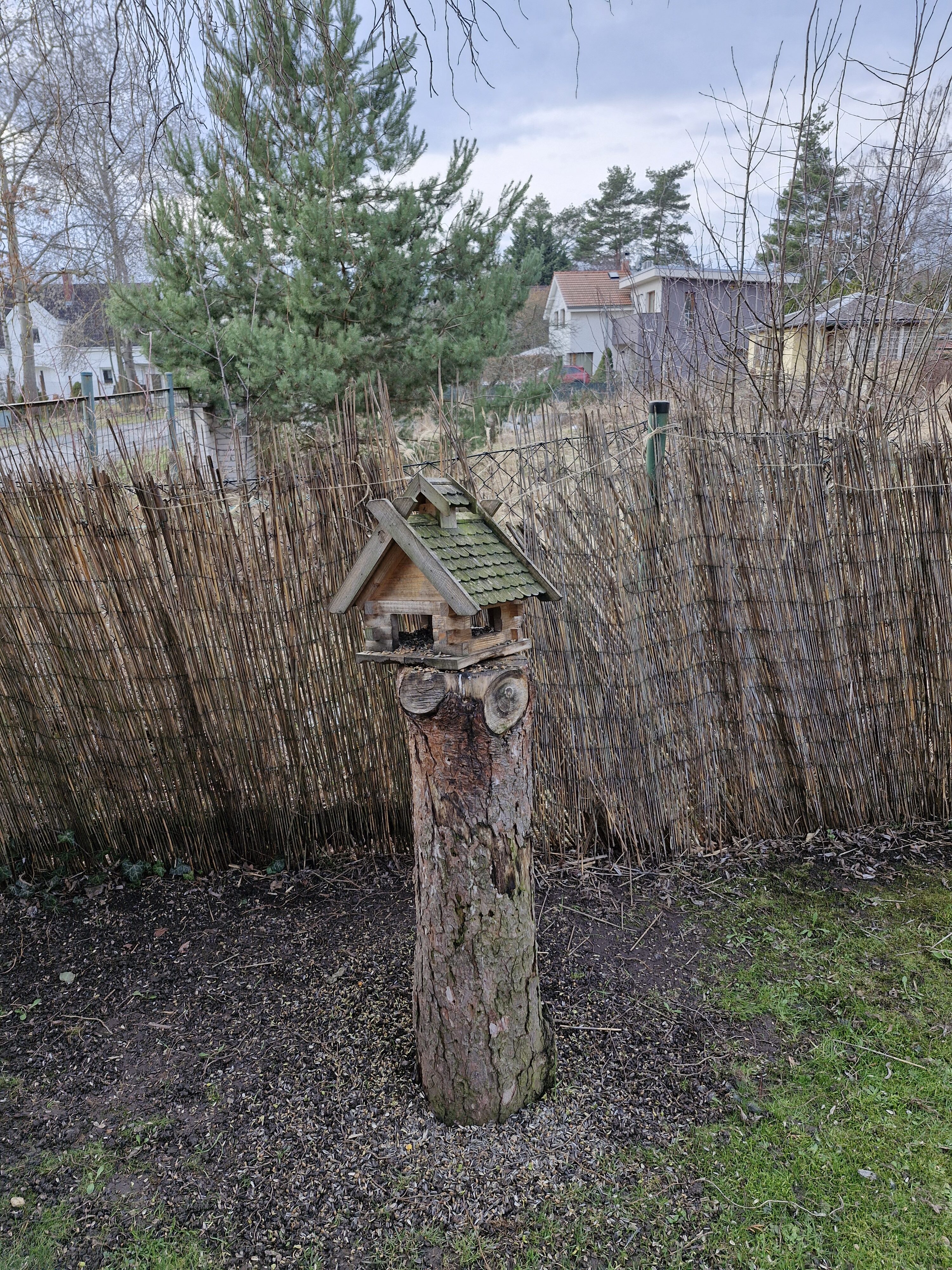 Galaxy Día 23 de la fotografía del S1 FE