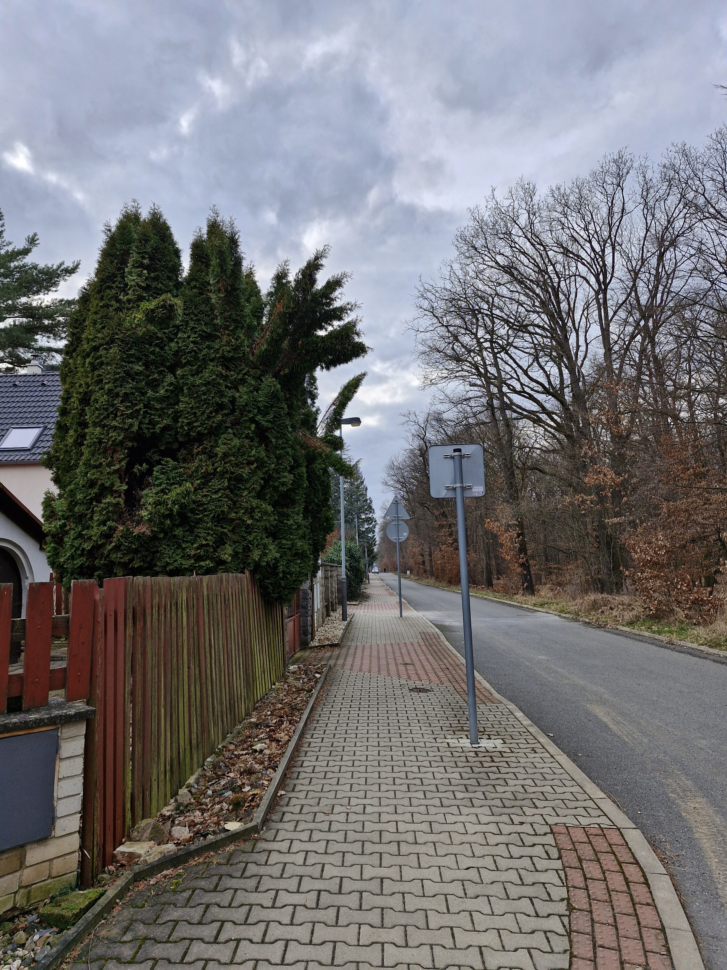 Galaxy Día 23 de la fotografía del S11 FE