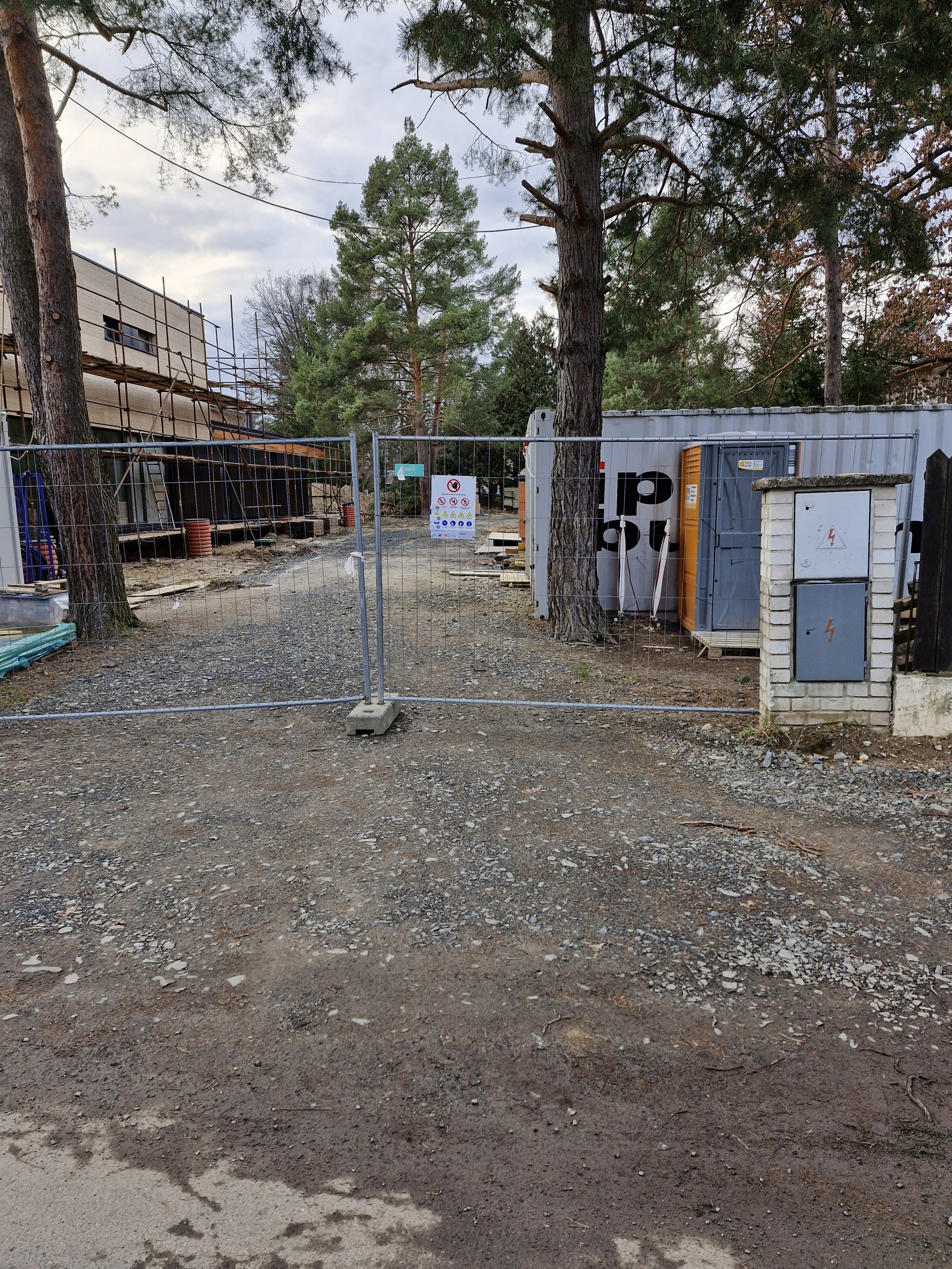 Galaxy Día 23 de la fotografía del S21 FE