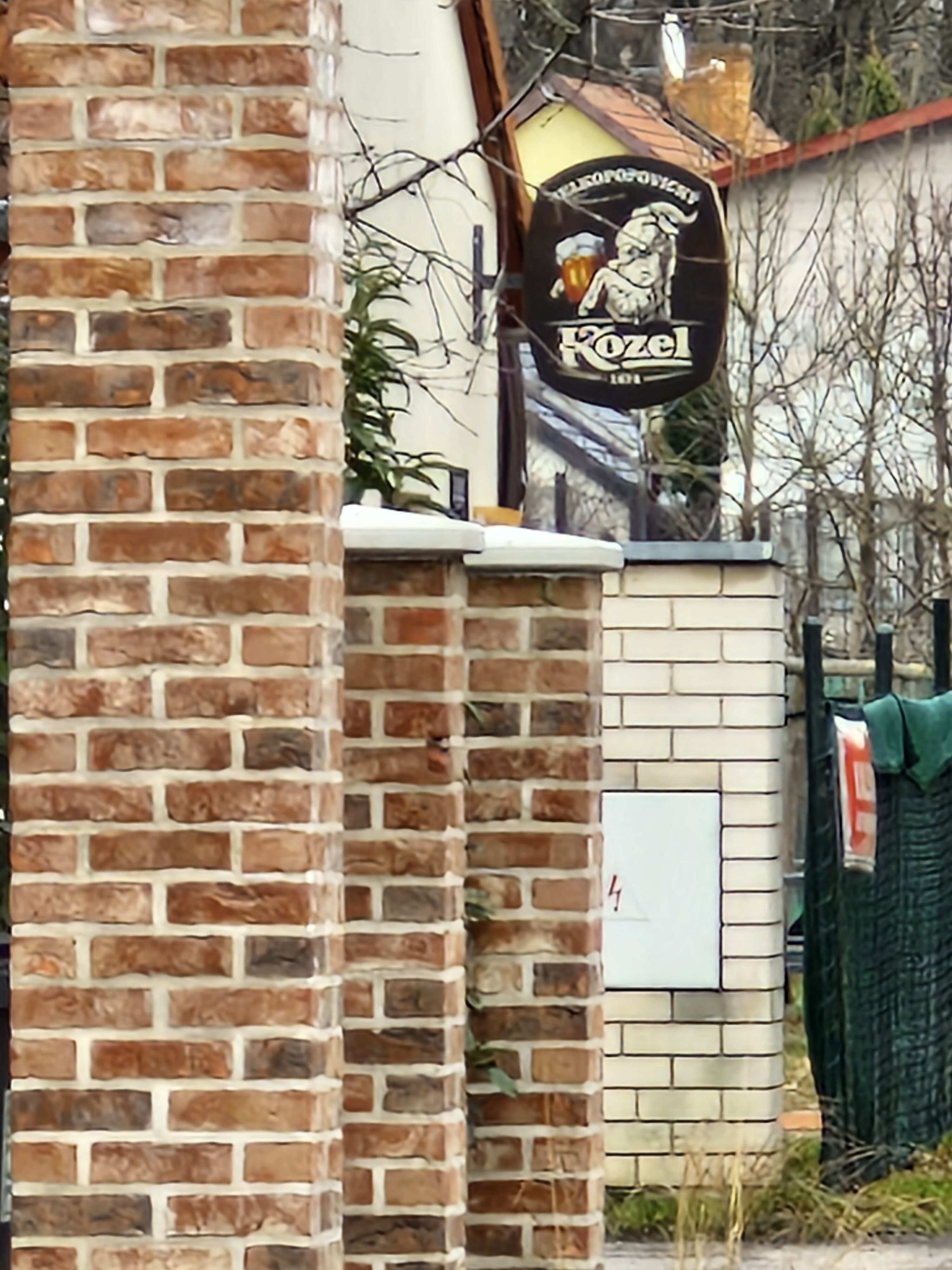 Galaxy Día 23 de la fotografía del S29 FE