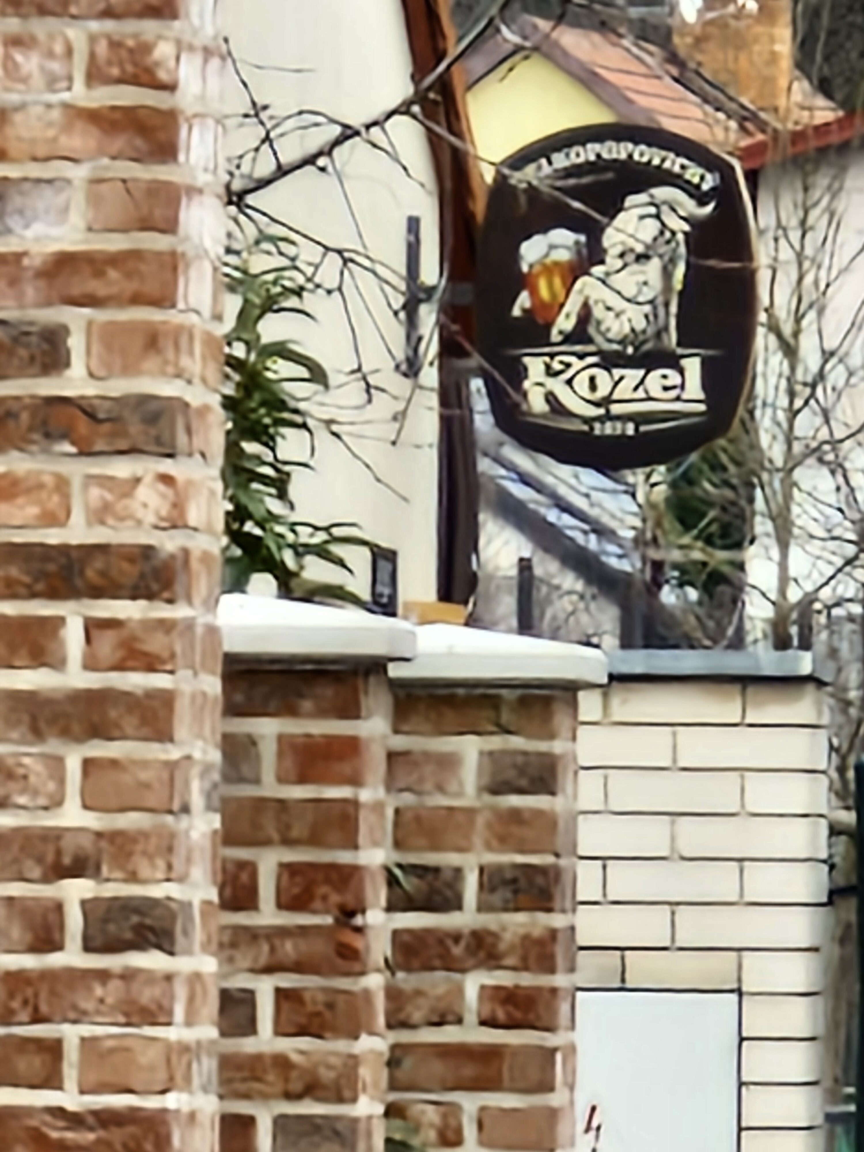 Galaxy Día 23 de la fotografía del S30 FE