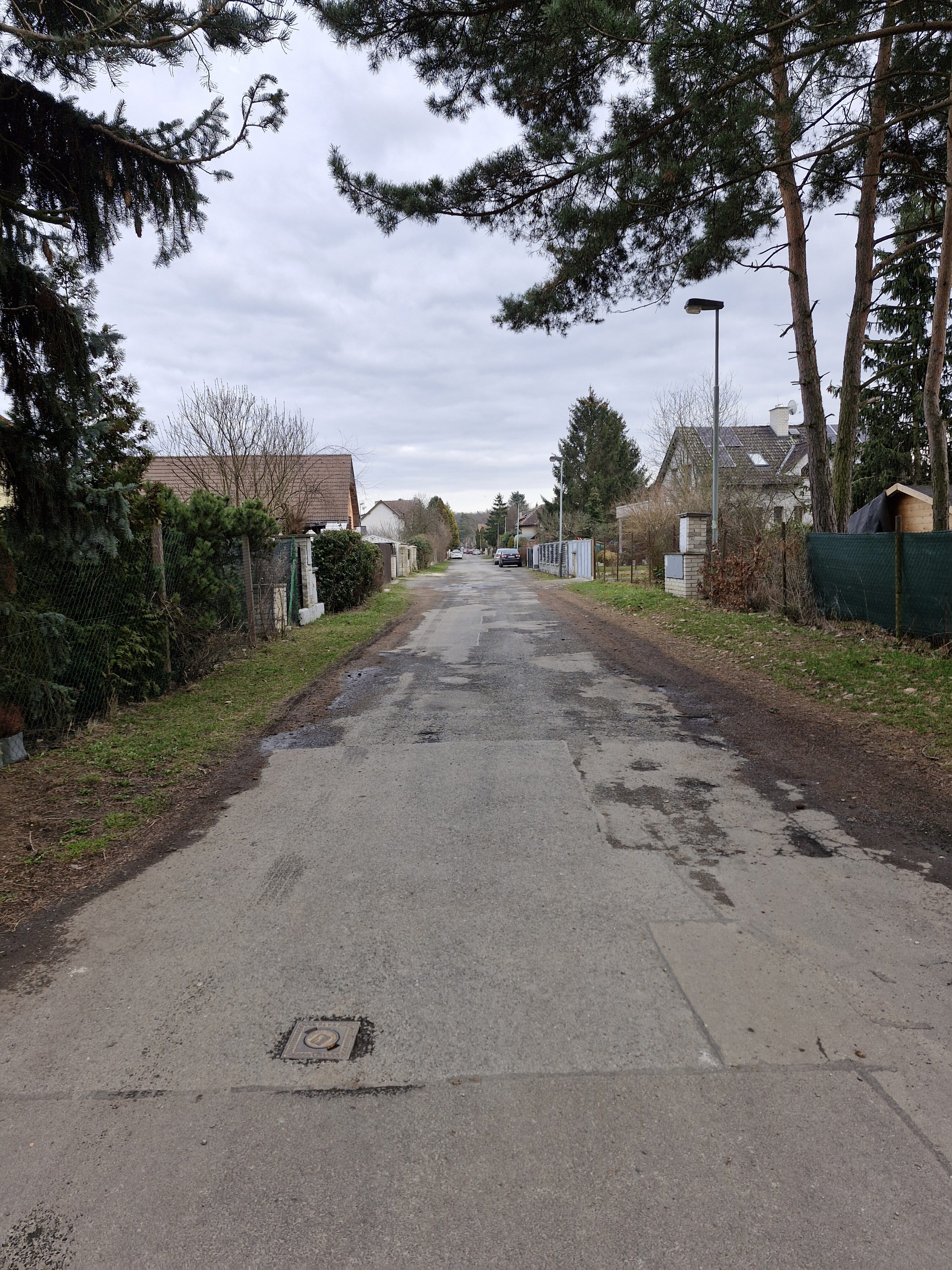 Galaxy Día 23 de la fotografía del S38 FE