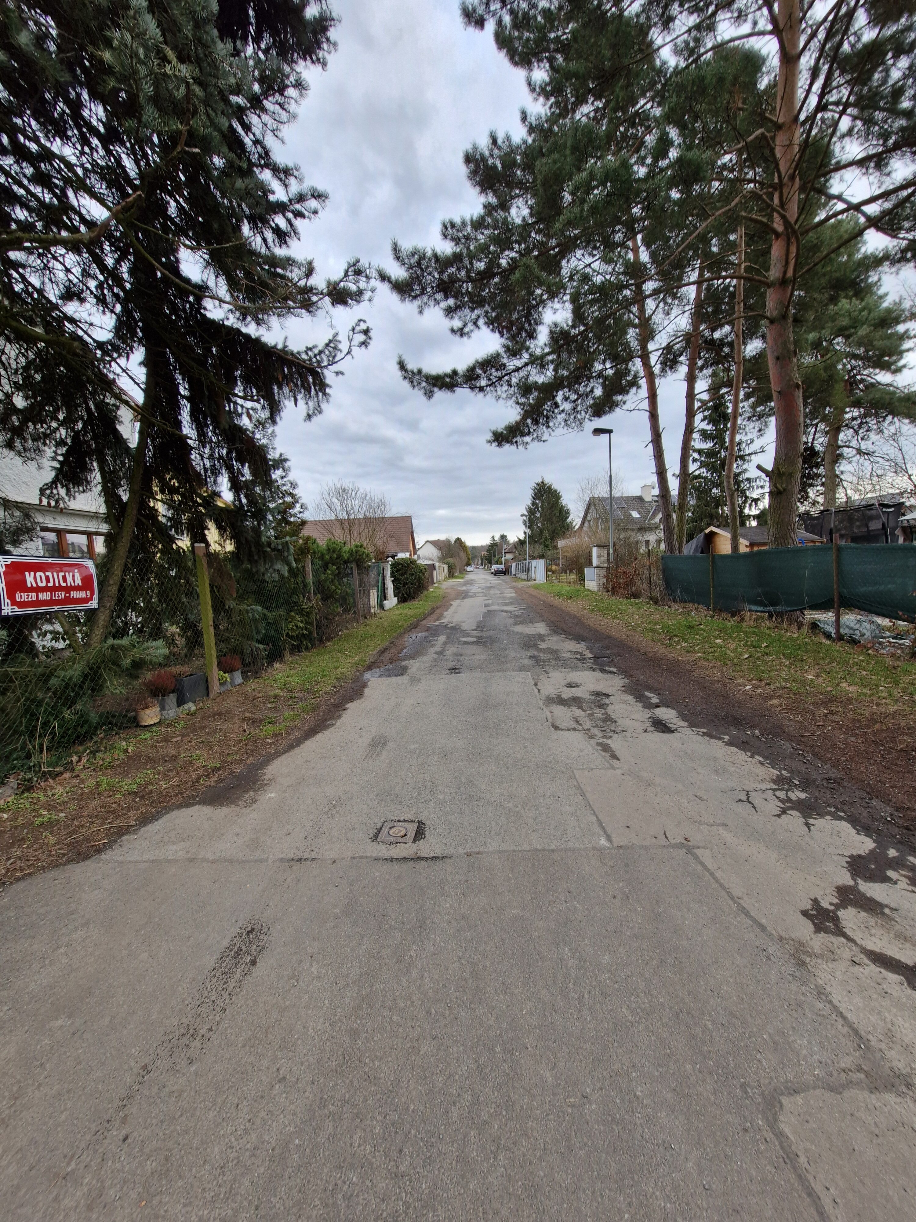 Galaxy Día 23 de la fotografía del S39 FE