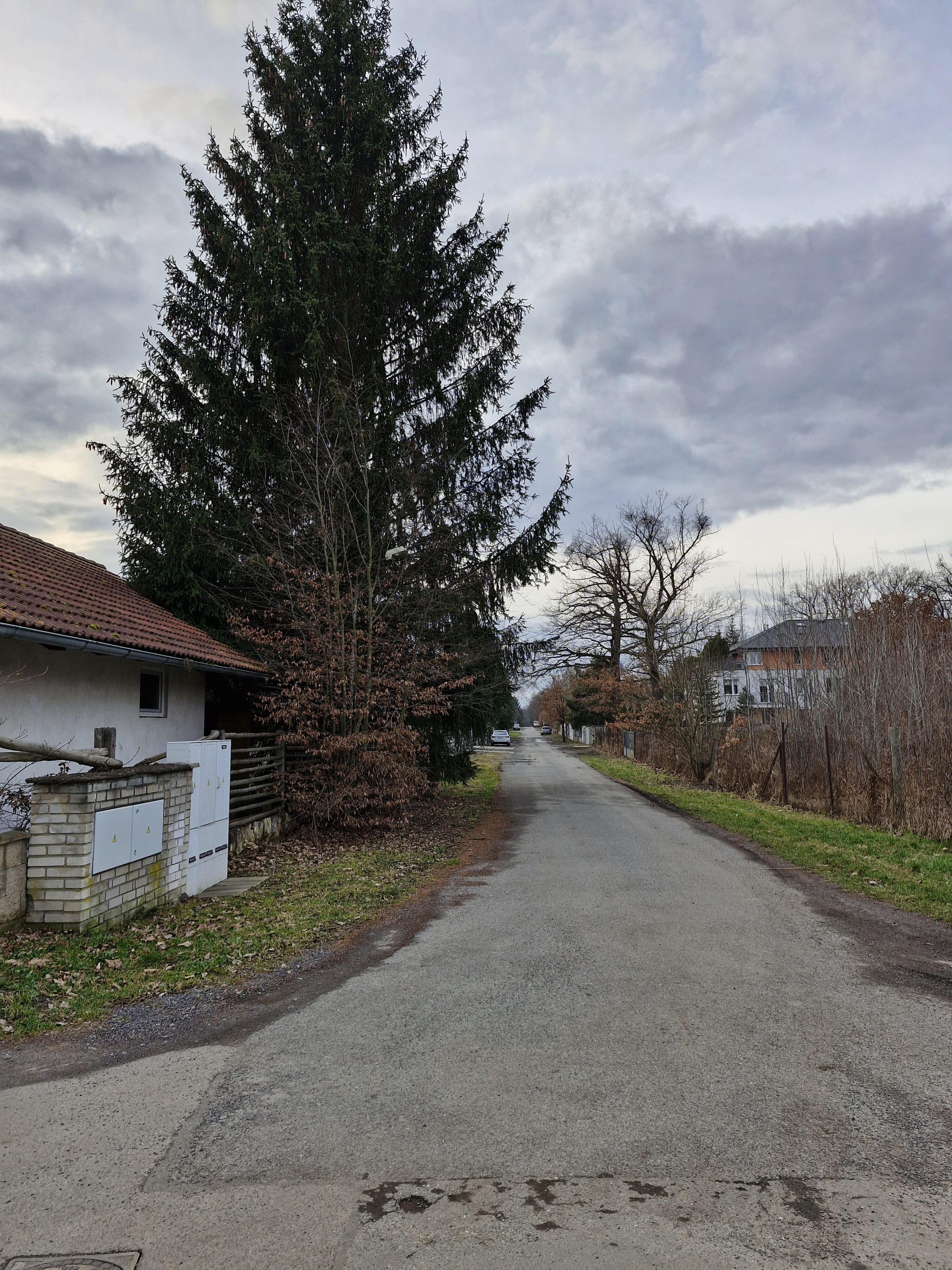 Galaxy Día 23 de la fotografía del S5 FE