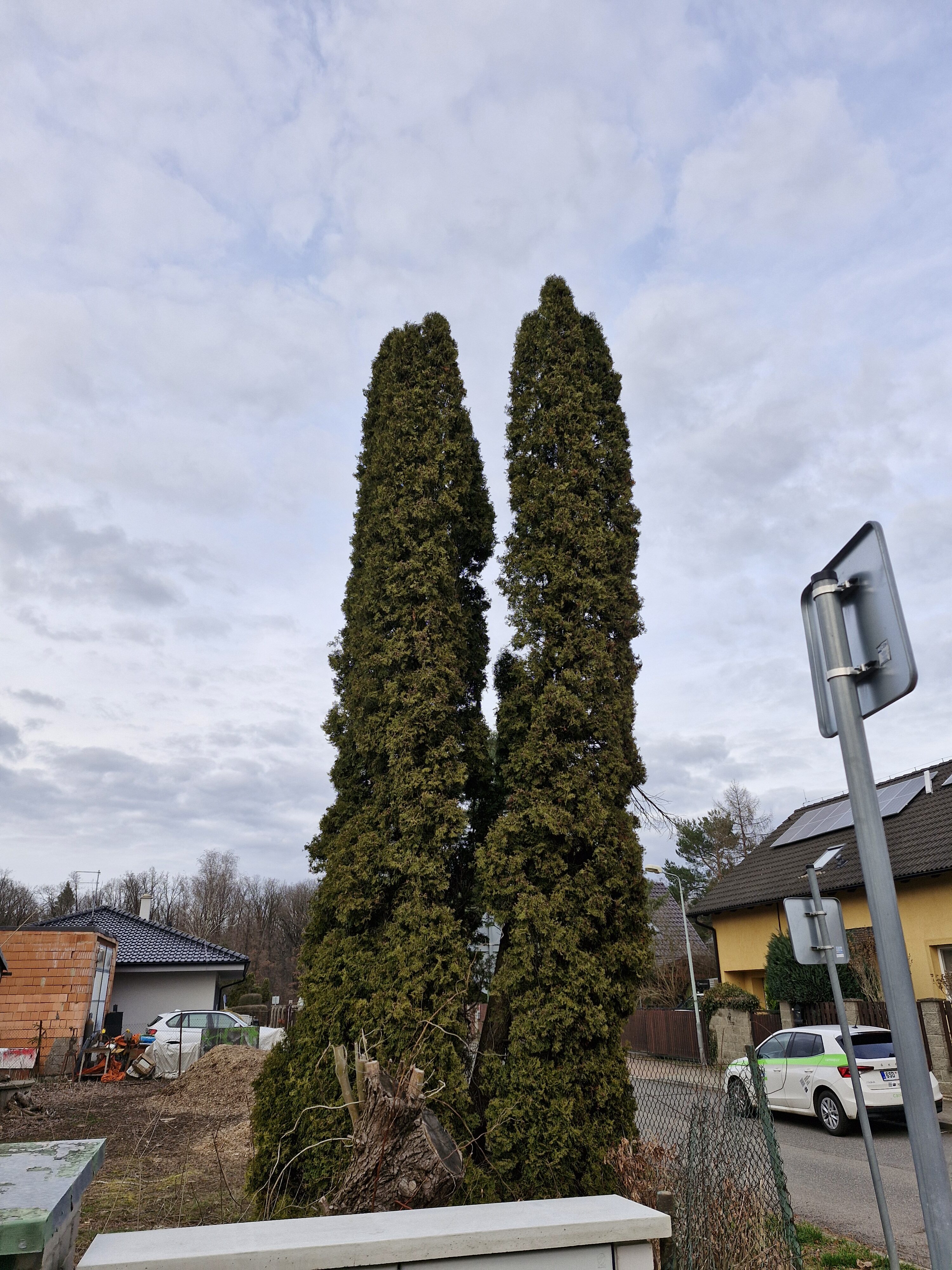 Galaxy Día 23 de la fotografía del S7 FE